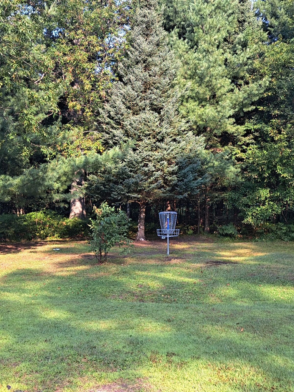 Hole 6 B basket