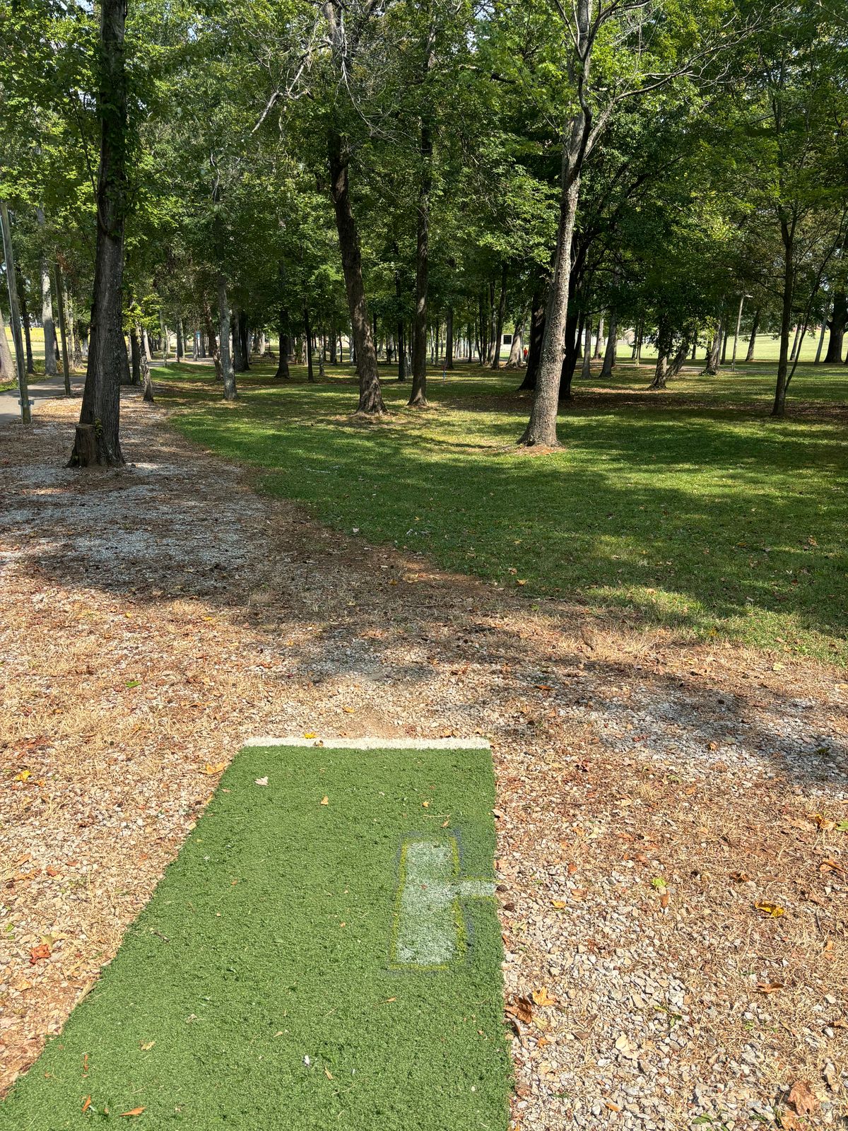 Hole 5 teepad