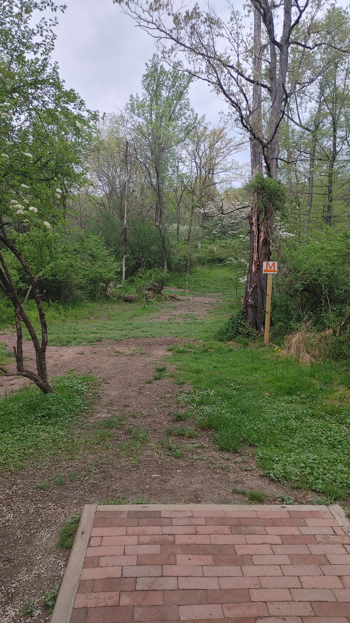 Hole 14