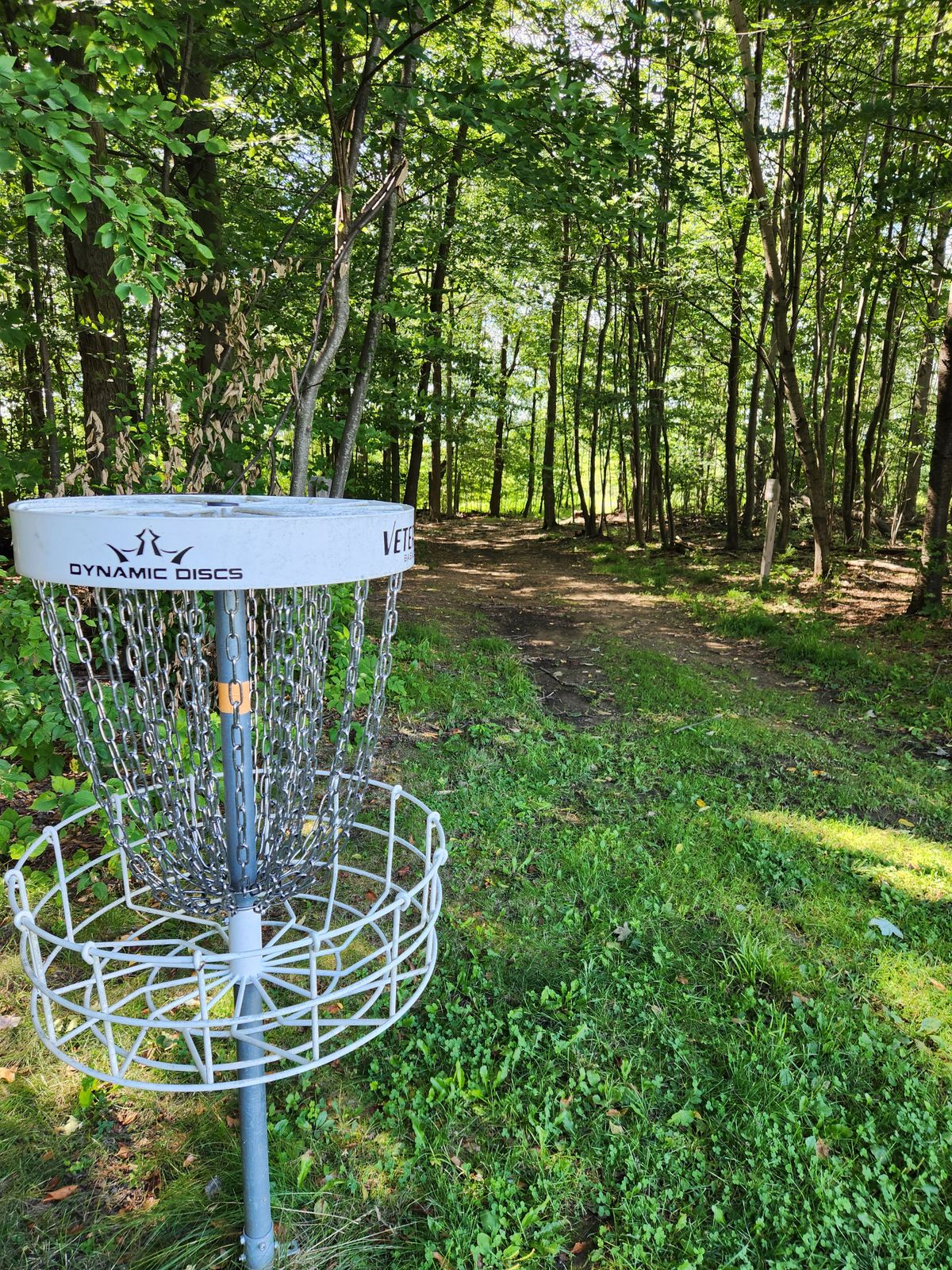 Hole 3 basket looking back at hole 3 tee