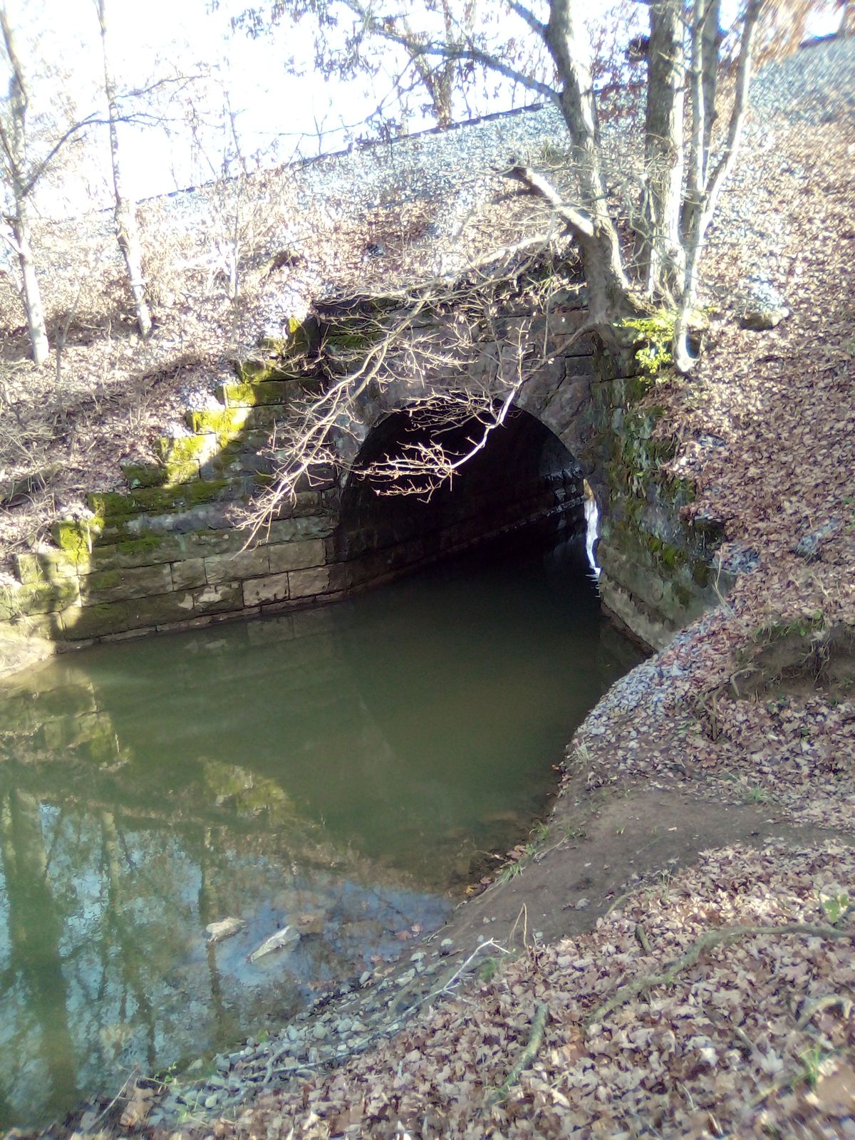 Creek Tunnel. Behind hole 13 basket! Beautiful view in the woods. Creek runs alongside holes 11-13