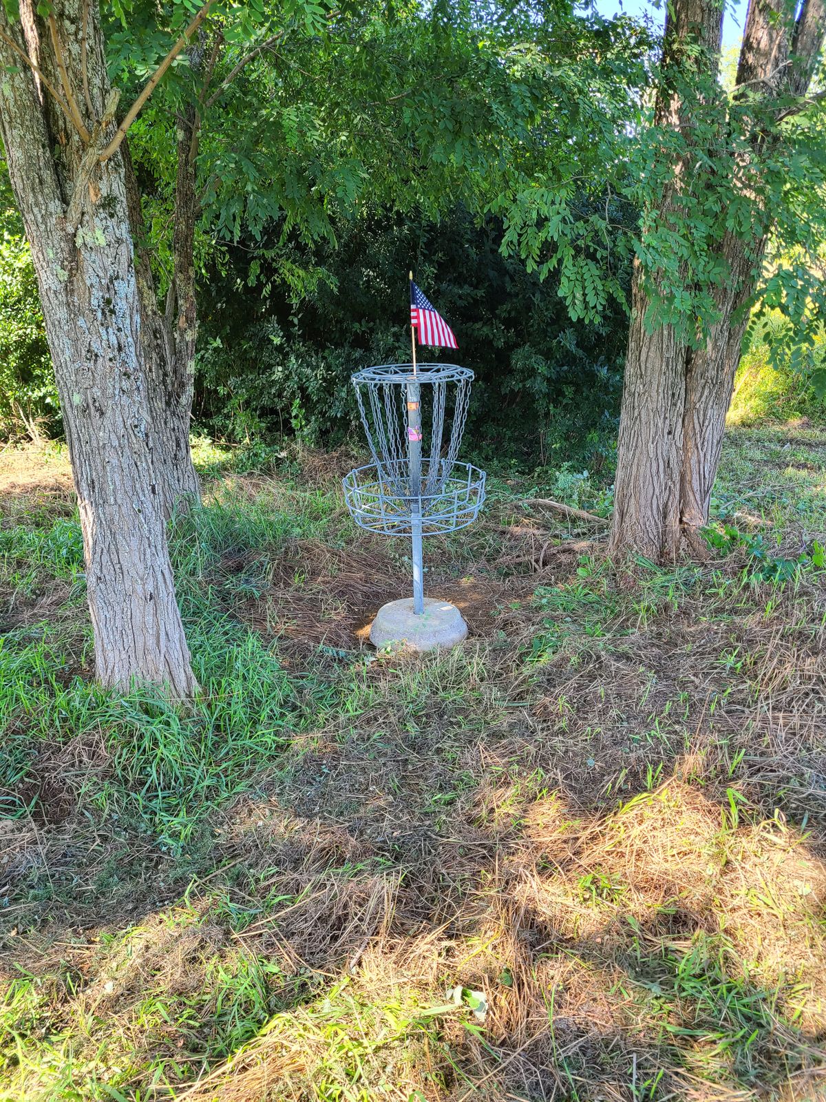 Basket 9 - by far my favorite basket placement so far.  BUT, once we get 9 more baskets, wait until you see where we picked out for basket 18 to be!