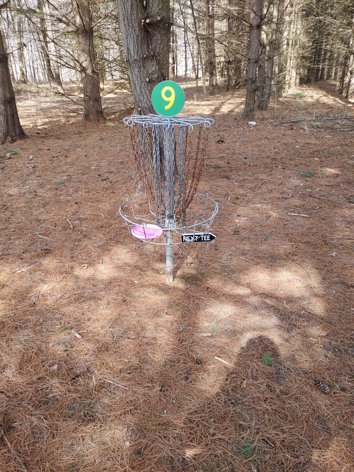 Hole 9 Basket