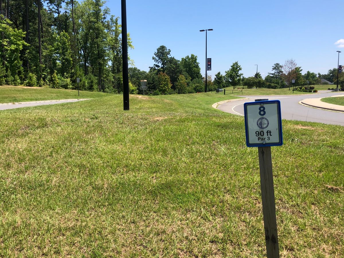 Hole #8 tee