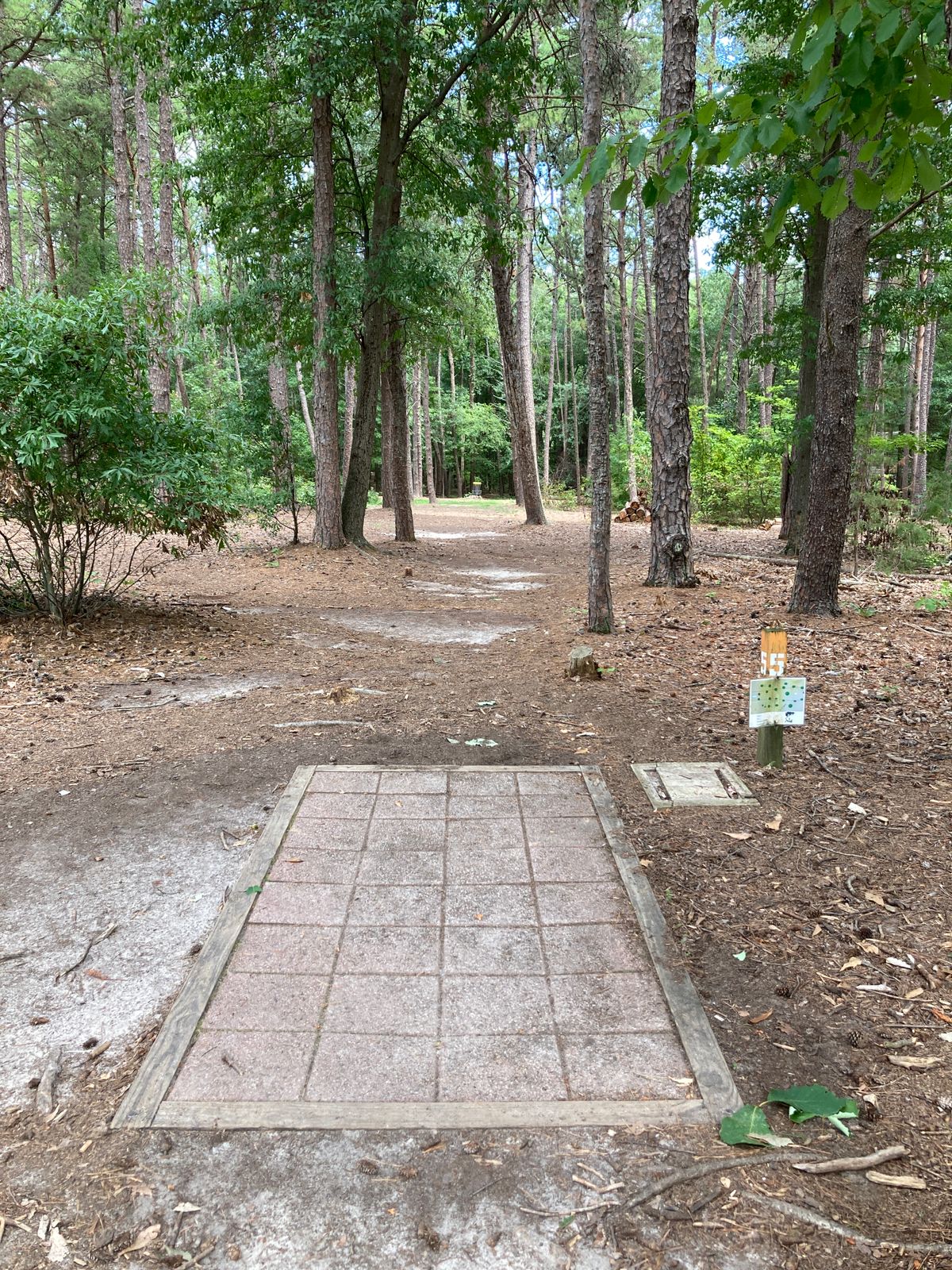 Hole 5 - straight shot - poke and hope spike Hyzer line on right.