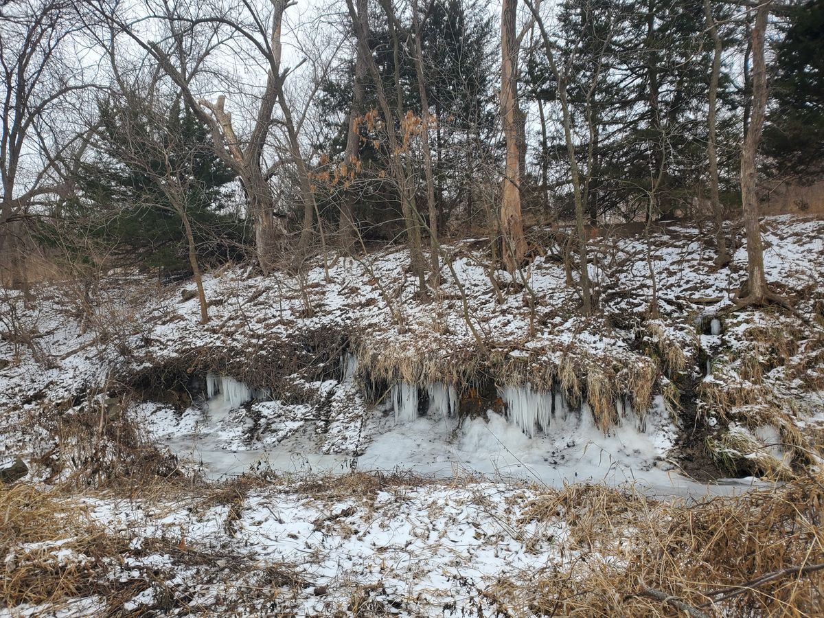 At times the slough has teeth.