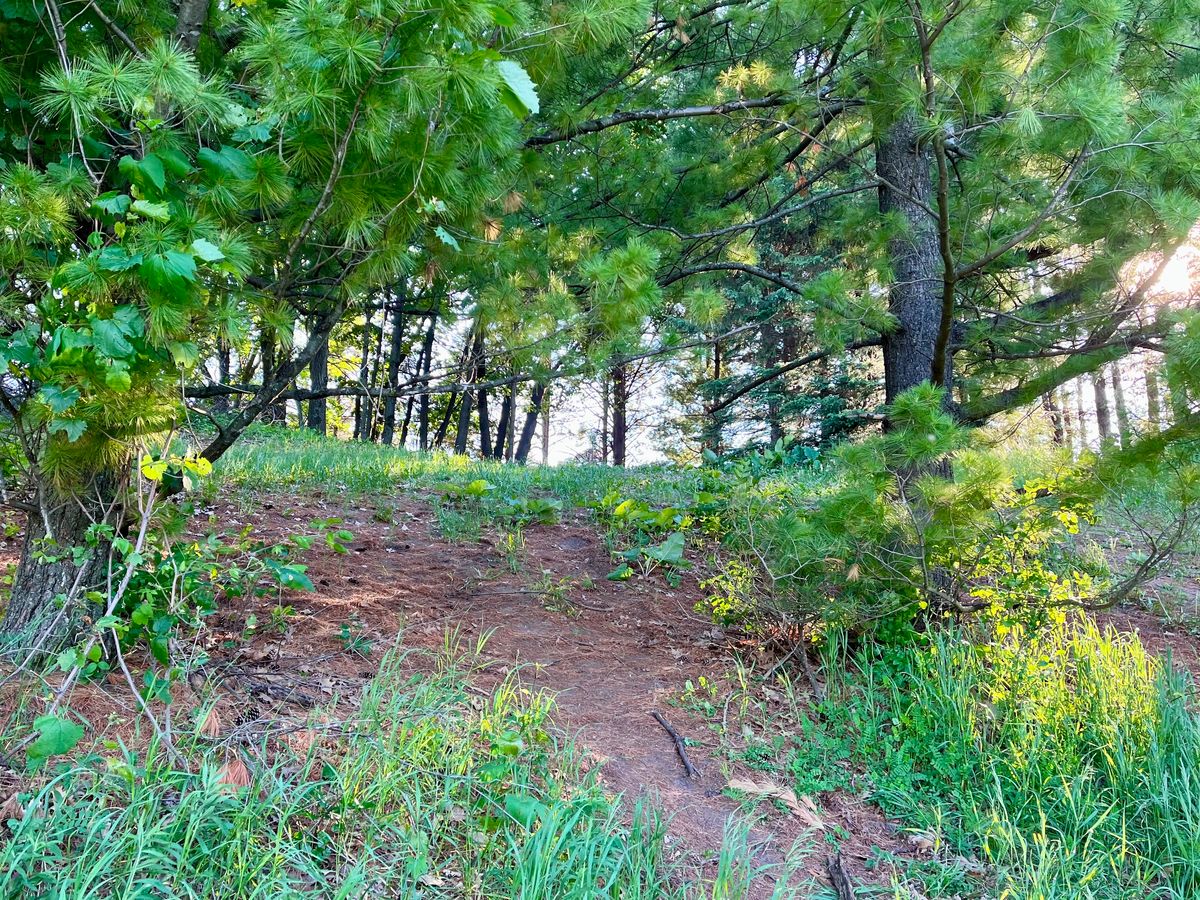 Hole 10’s basket