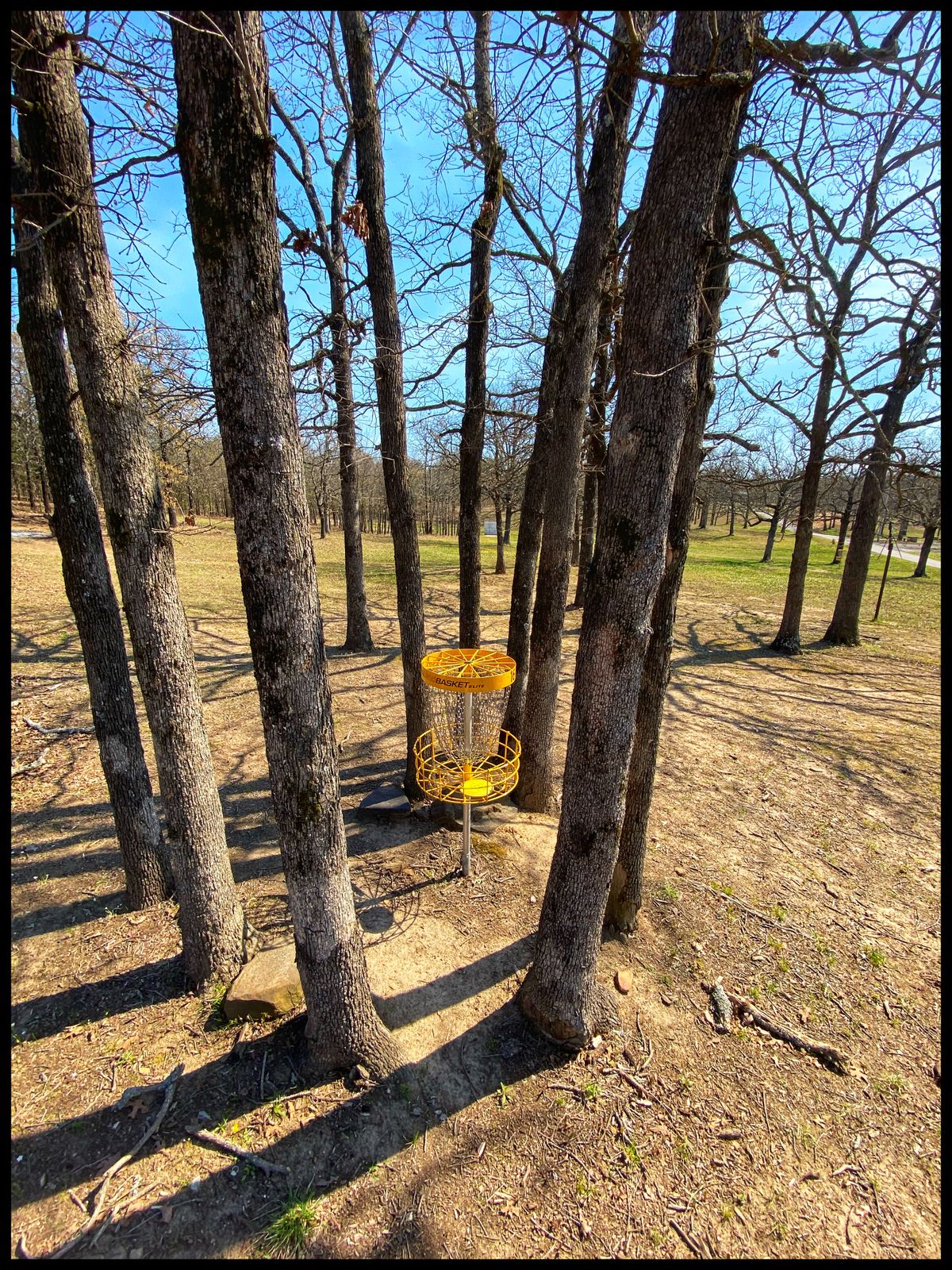 #16 Encircled Green - looking back towards Tee