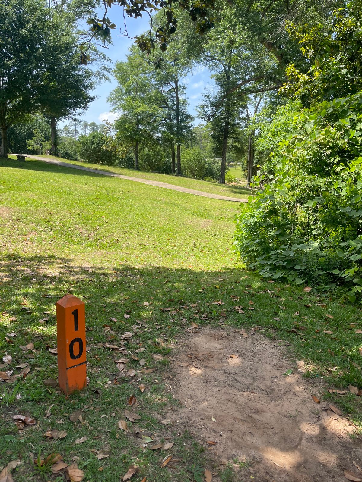 Hole 10