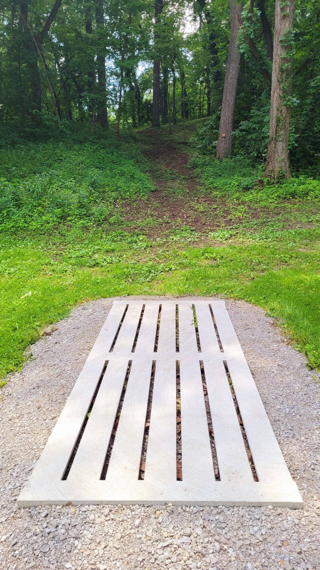 Hole 1