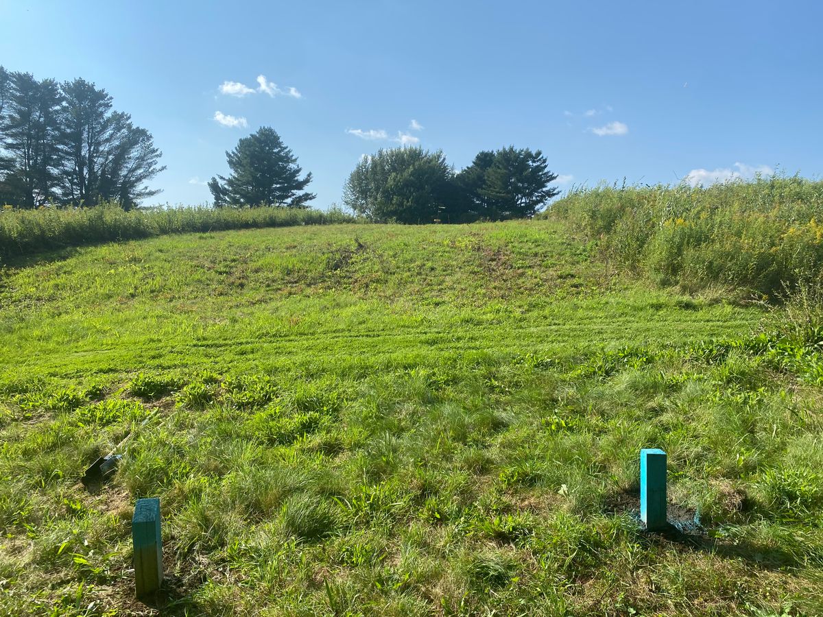 Hole 12 Tee Box