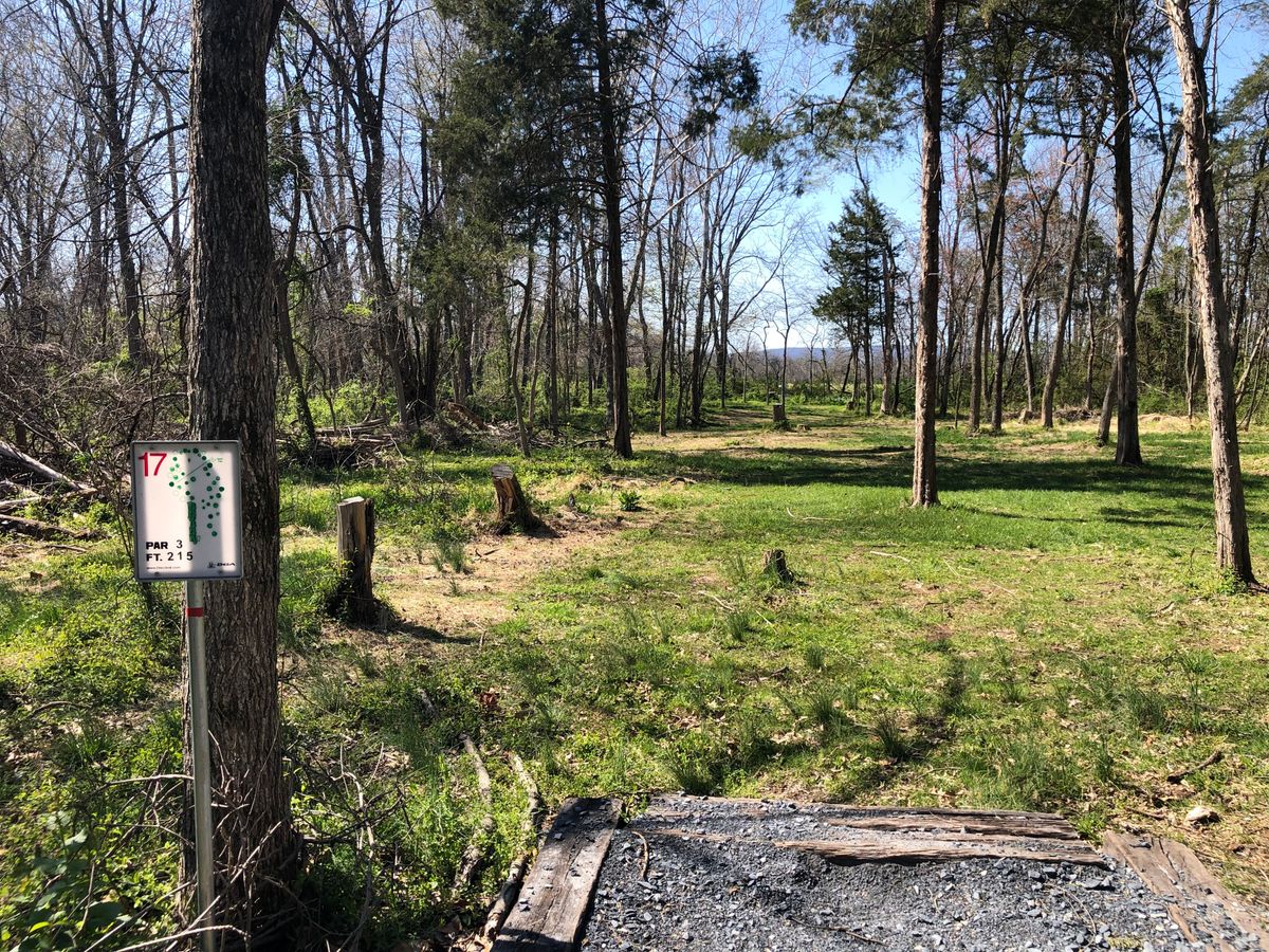 Hole 17 Short Tee