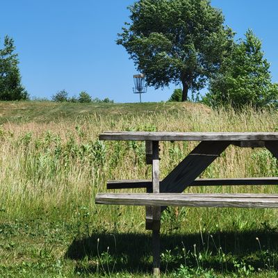 Picture of rough against a picnic table.