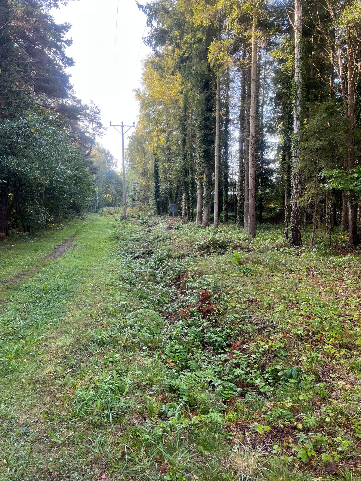 Hole 9 snett fram till höger