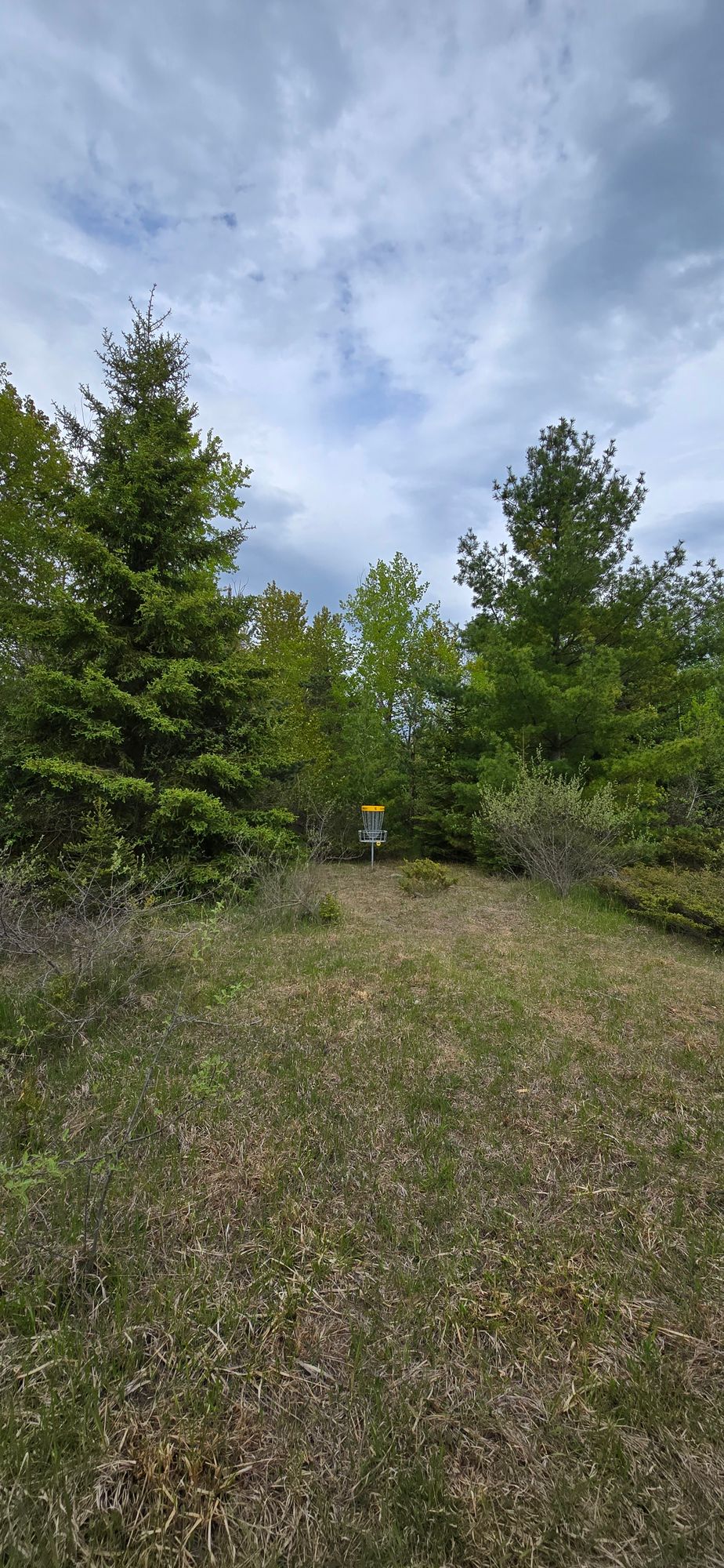 Hole 5 Basket