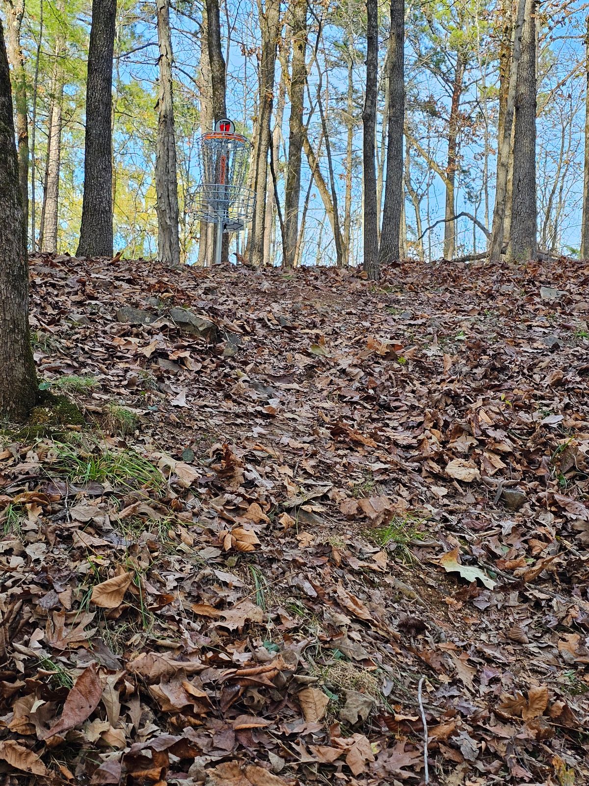 Hole 11