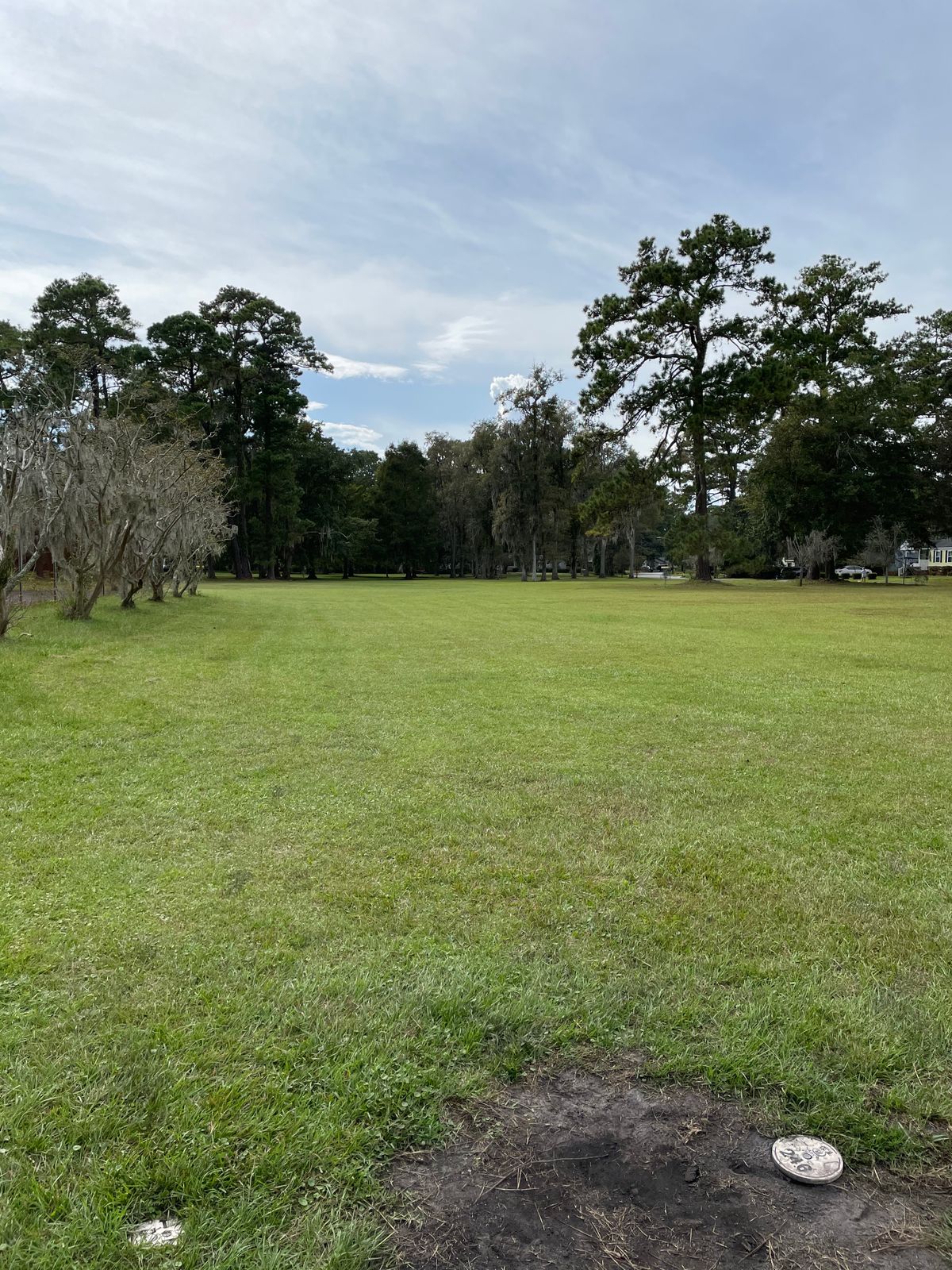 Hole 7 Tee