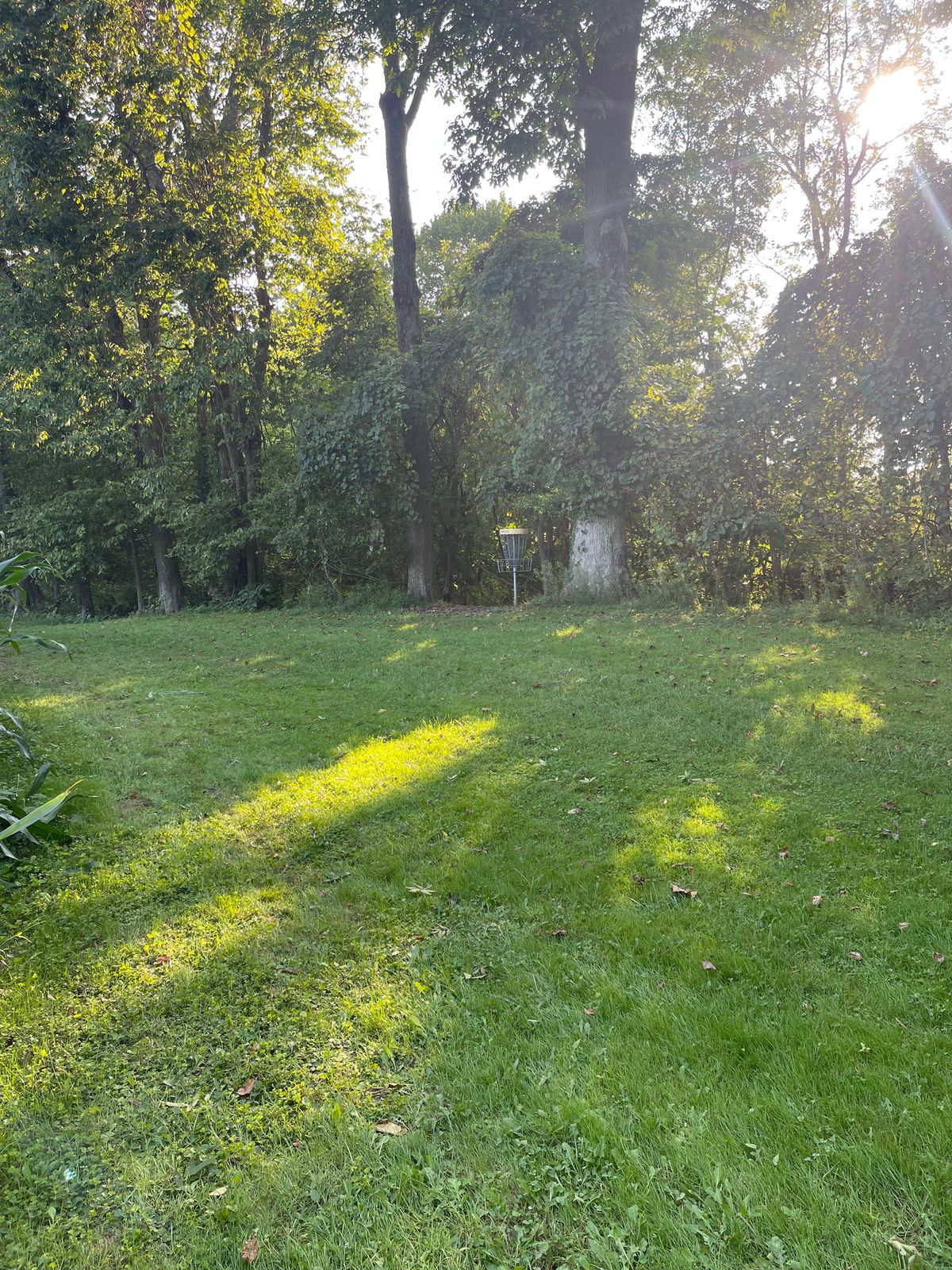 Hole 3 pin