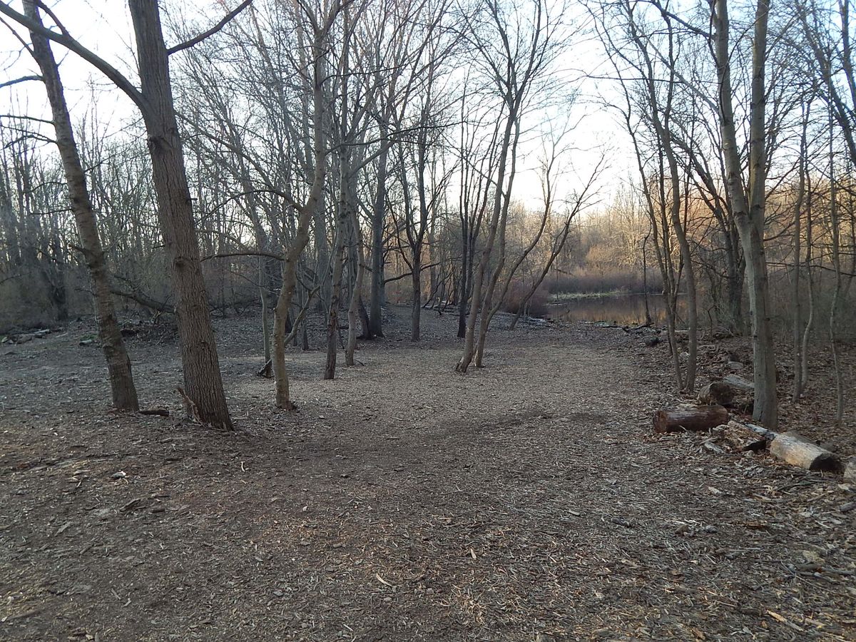 Hole 9 fairway, small gaps straight ahead, water hazard downhill to the right