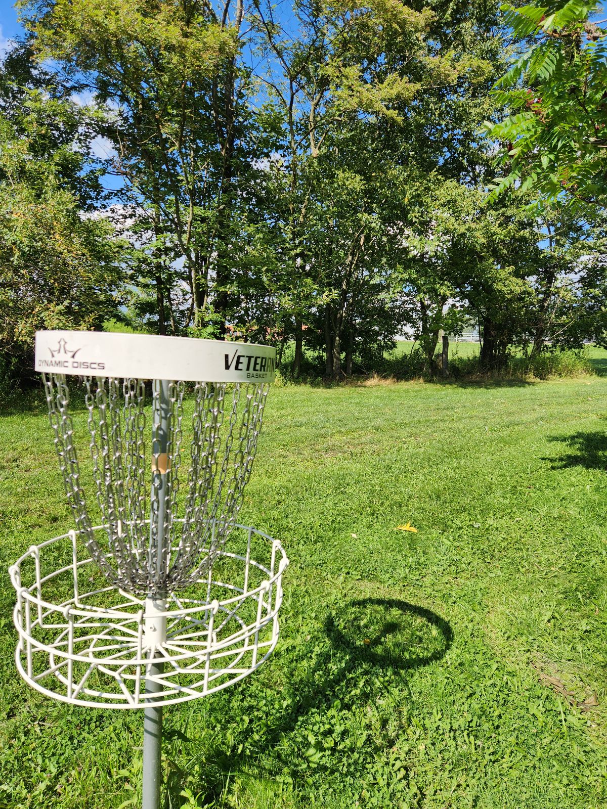 Hole 2 basket looking back toward 2 tee