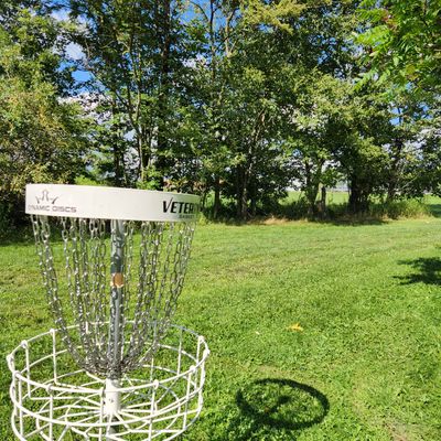 Hole 2 basket looking back toward 2 tee