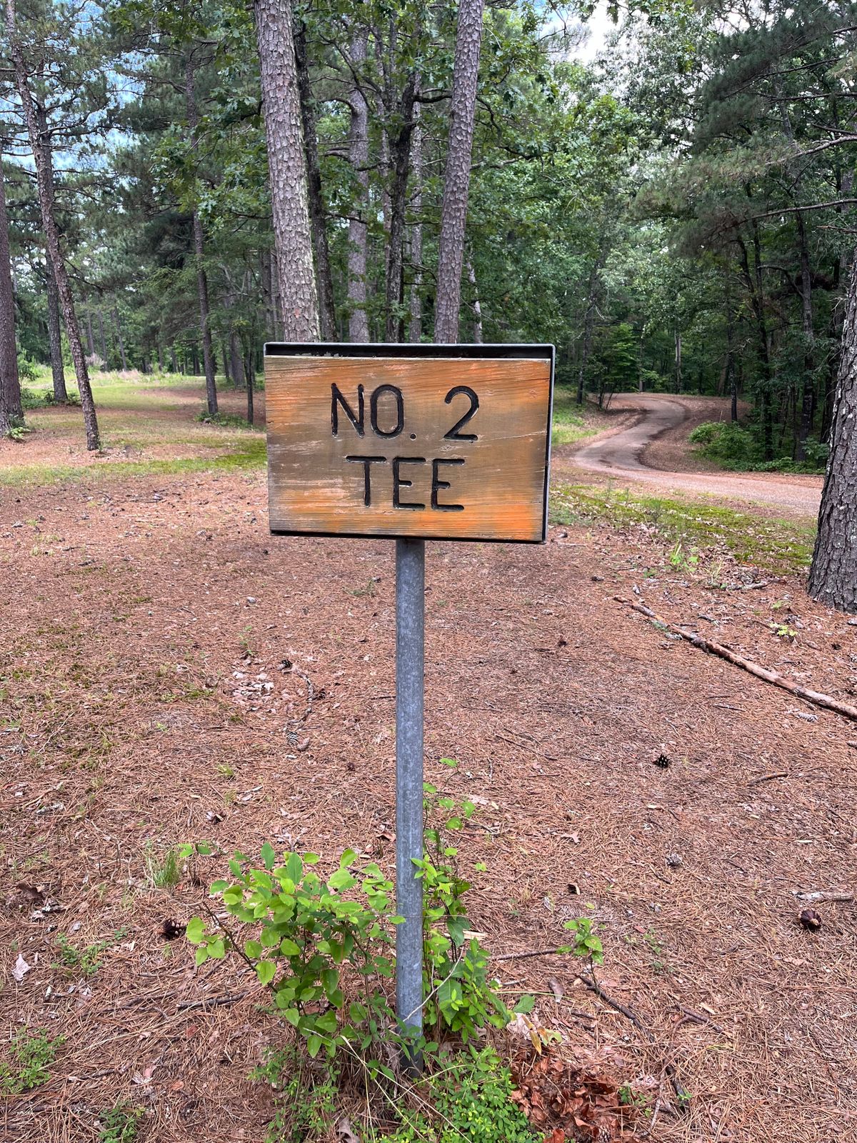 Hole 2 Tee Sign