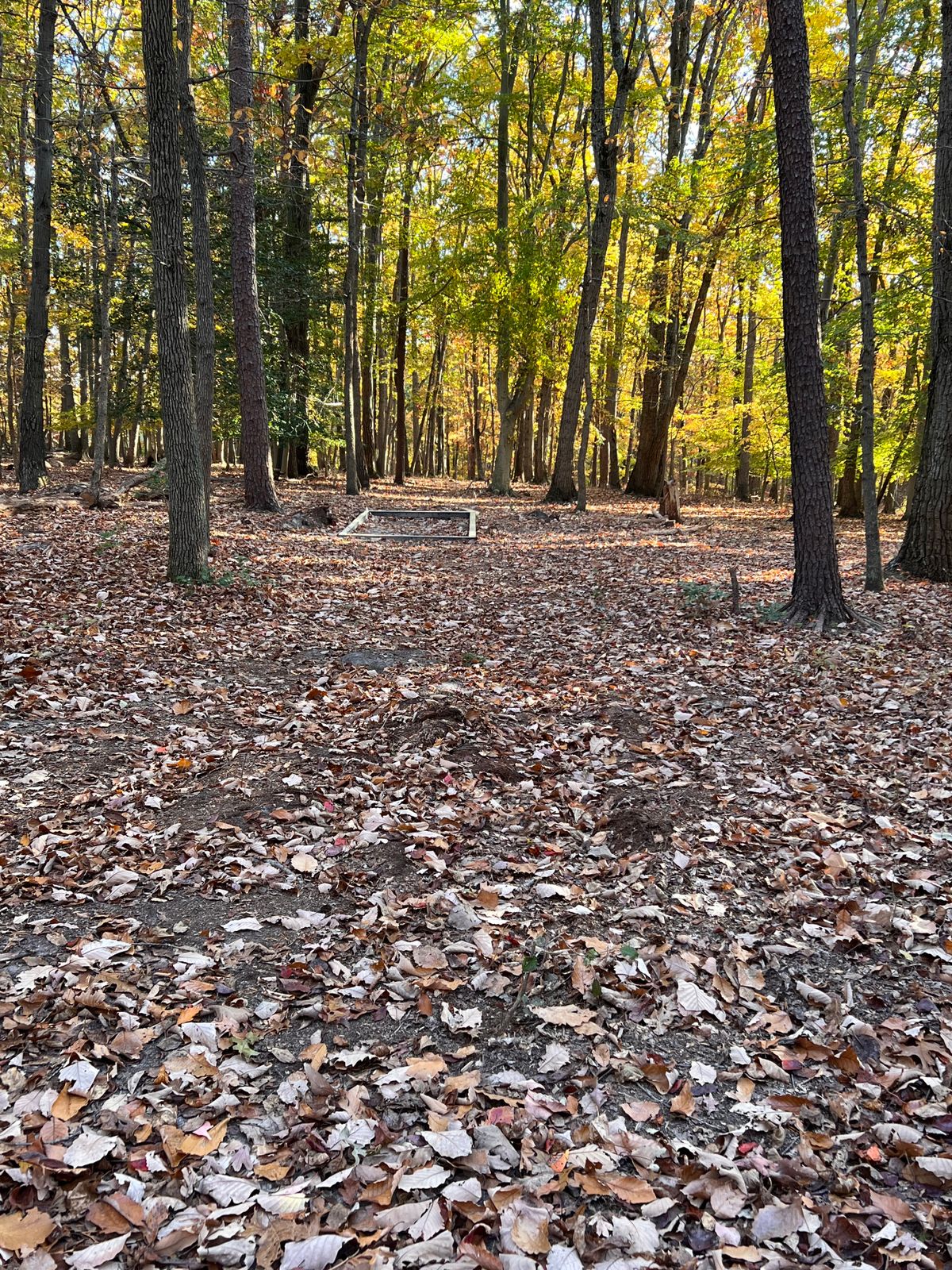 Hole 17