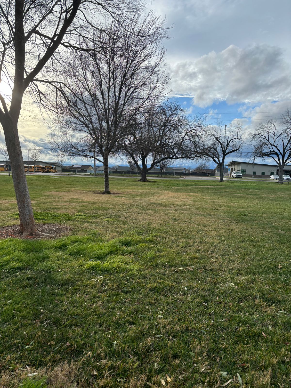 5 Fairway and target.