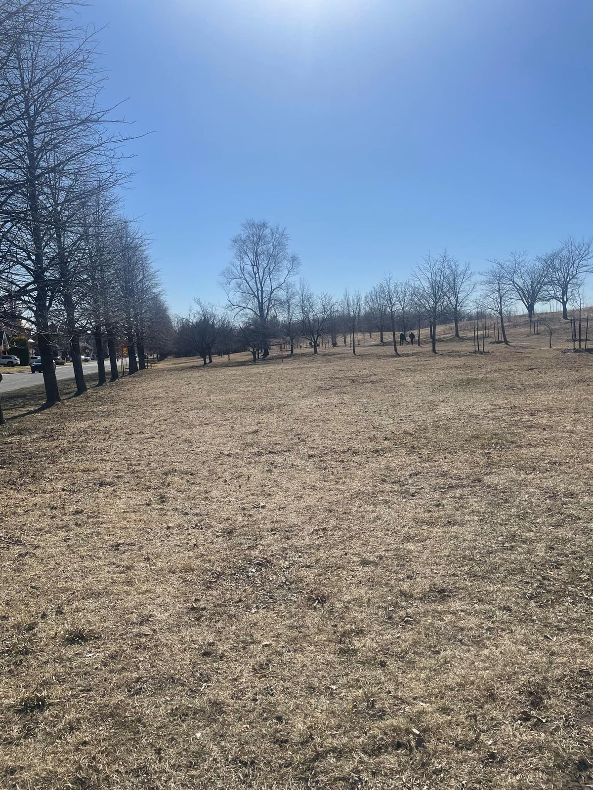 Long tee-pad #5 and Parking