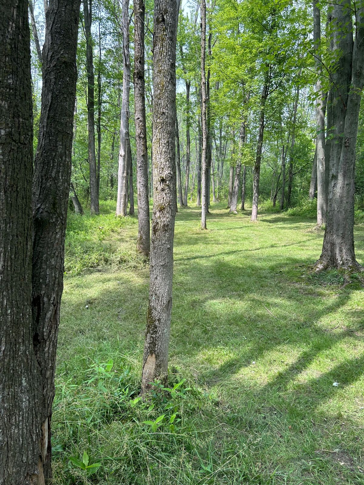 Hole 12 2nd leg