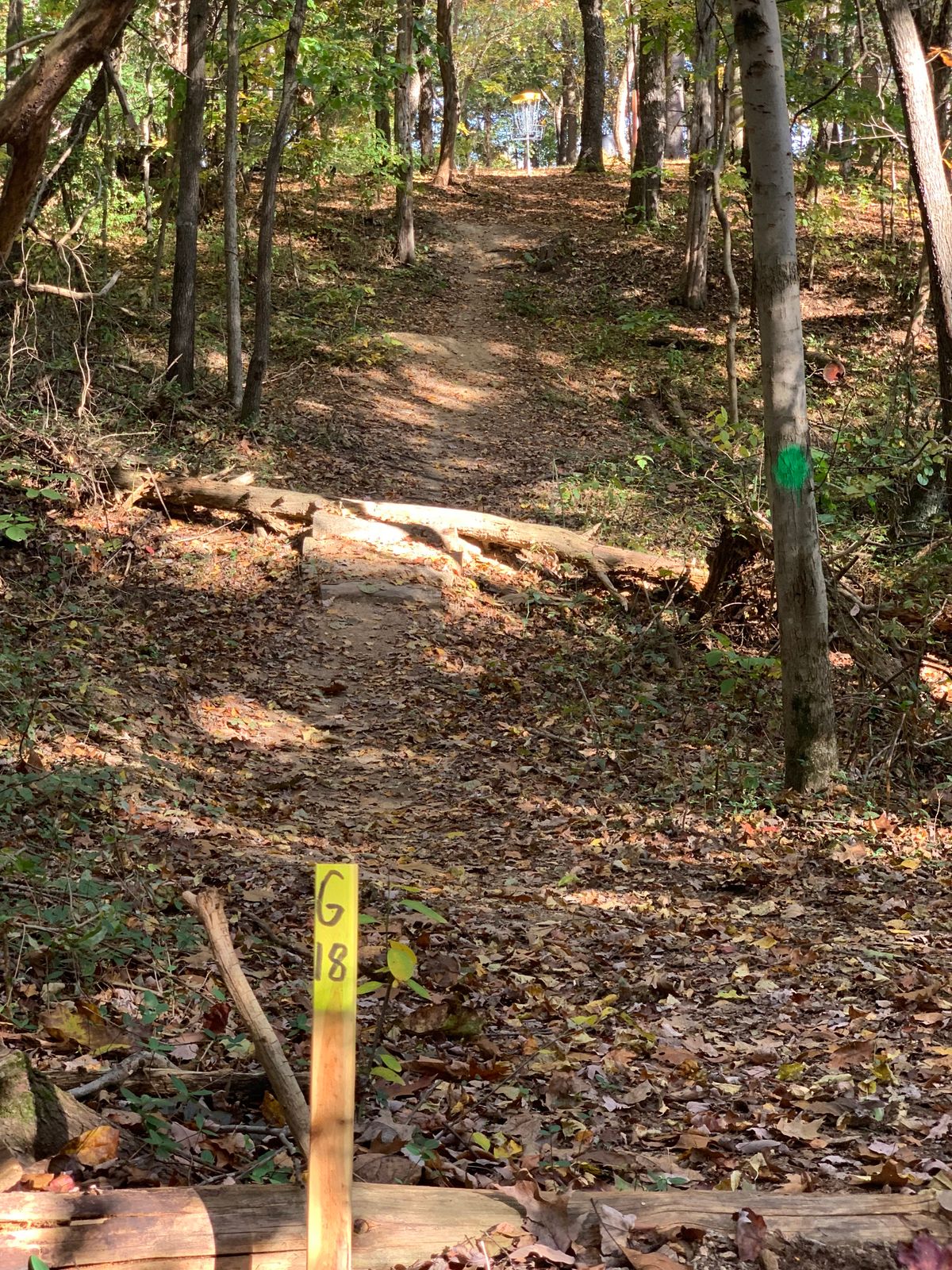 Hole 18. Slight up hill with a narrow gap.
