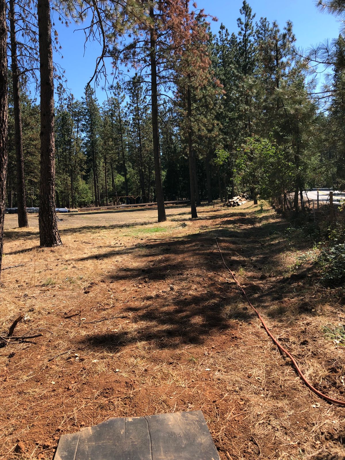 Tee 15
