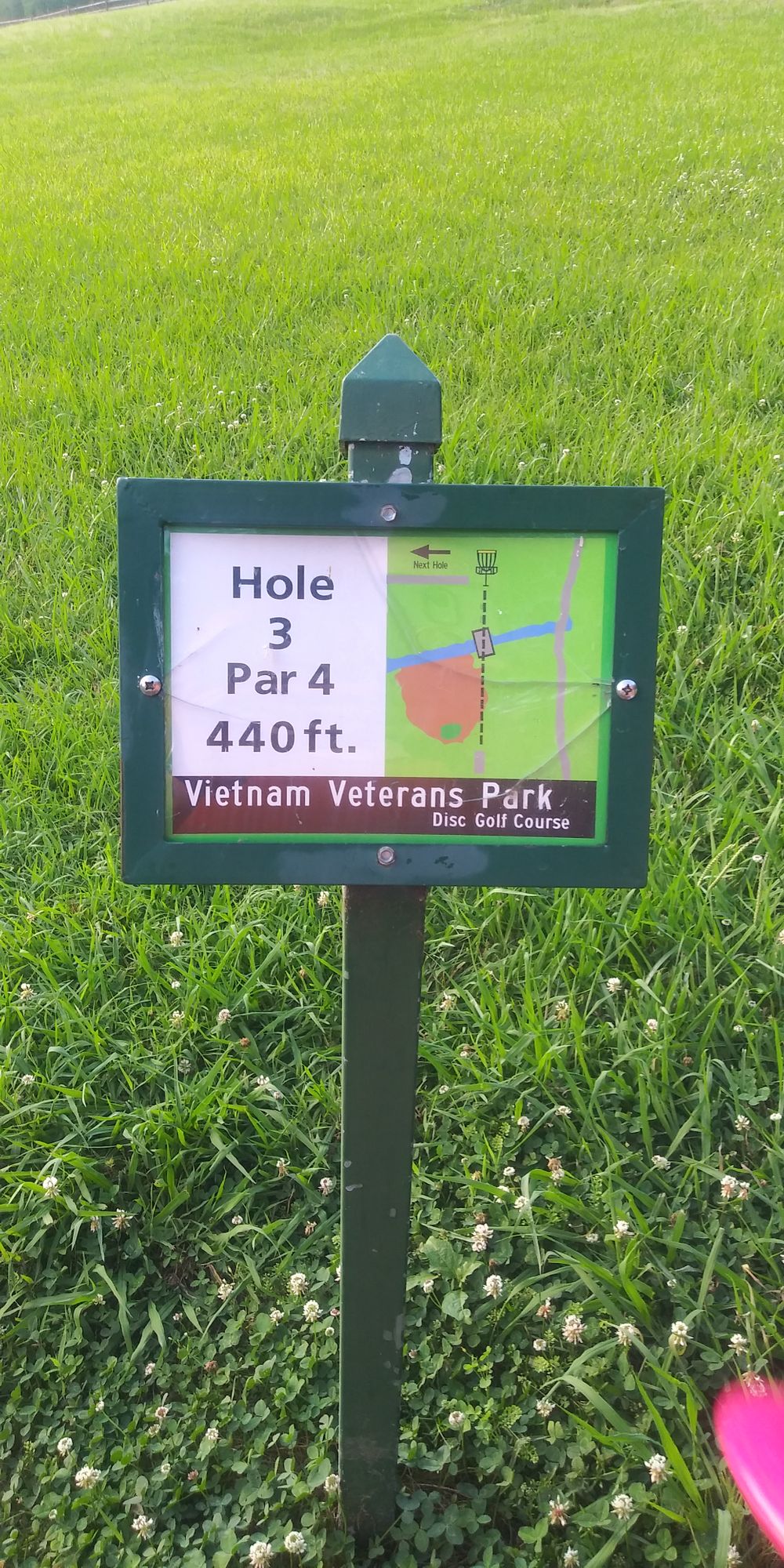 Overgrown. Easy to lose disc on hole.