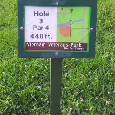 Overgrown. Easy to lose disc on hole.