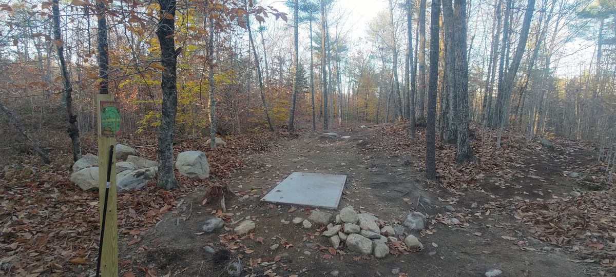 Hole 6