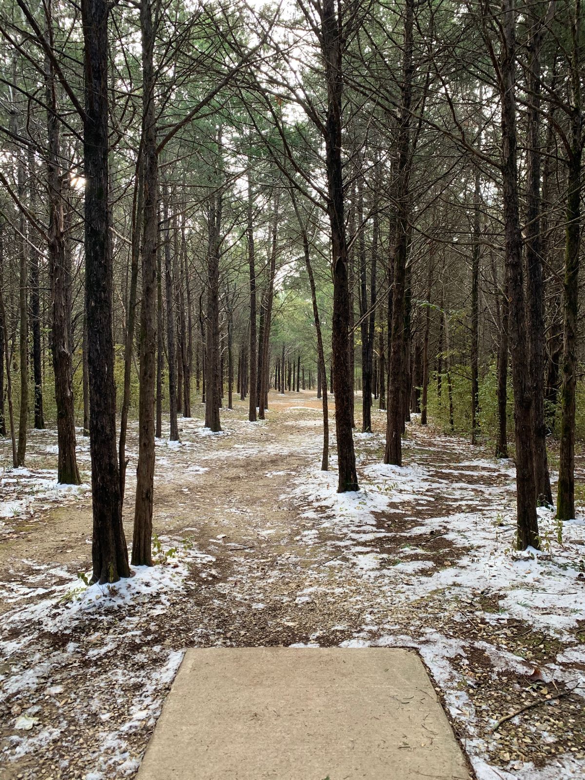 Hole 11