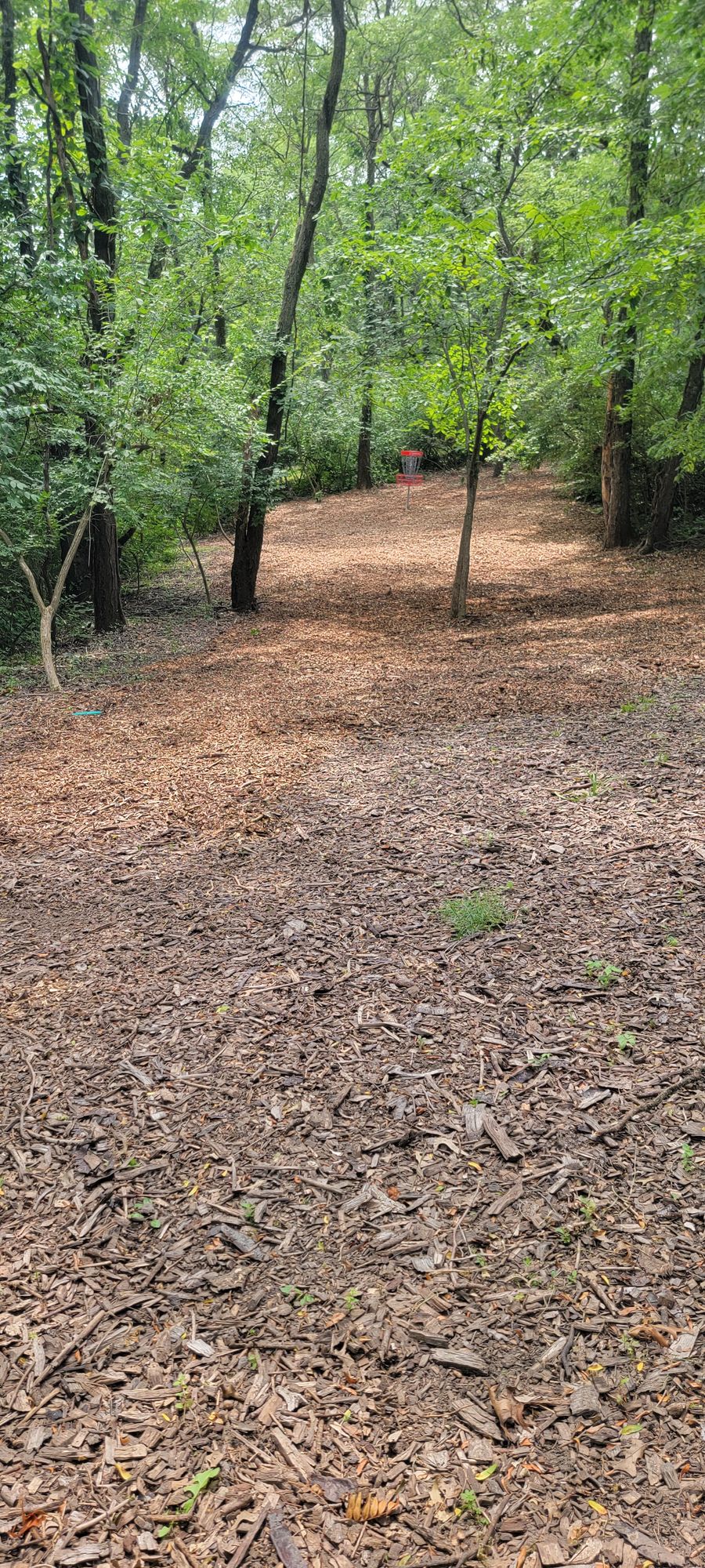 View of hole 2's basket from the top of the hill
