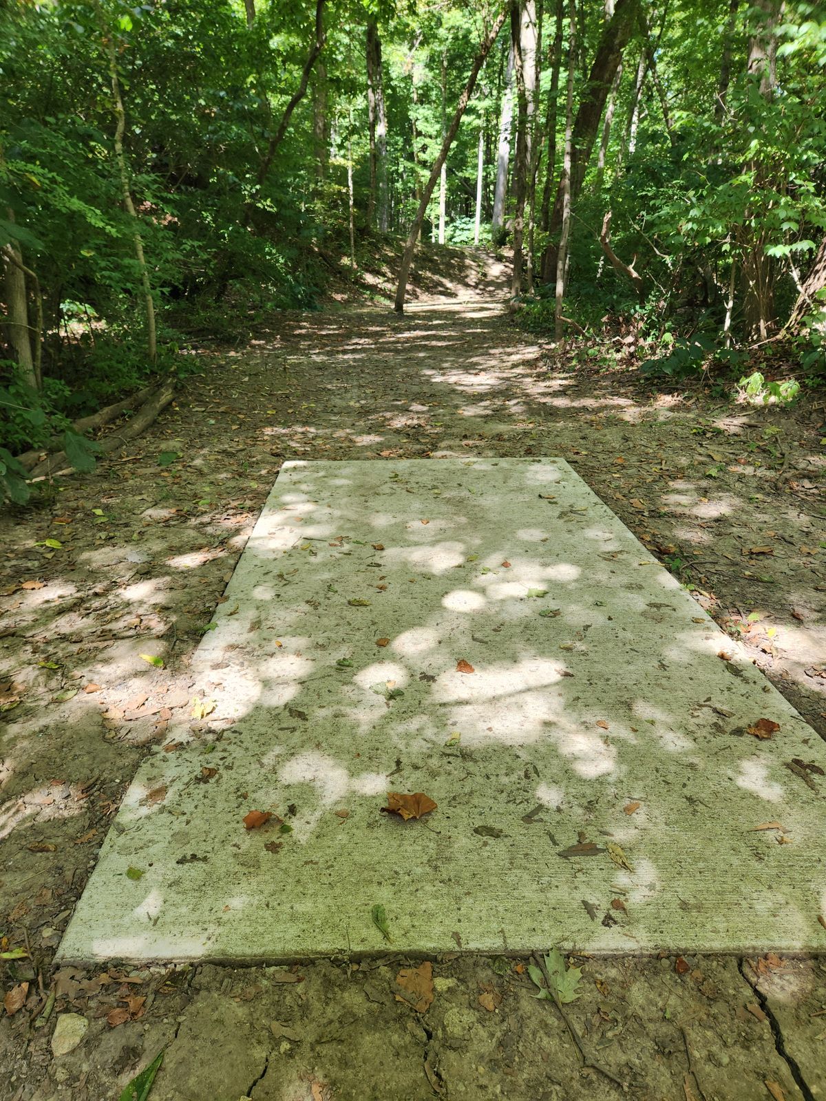 Hole 11 Blue