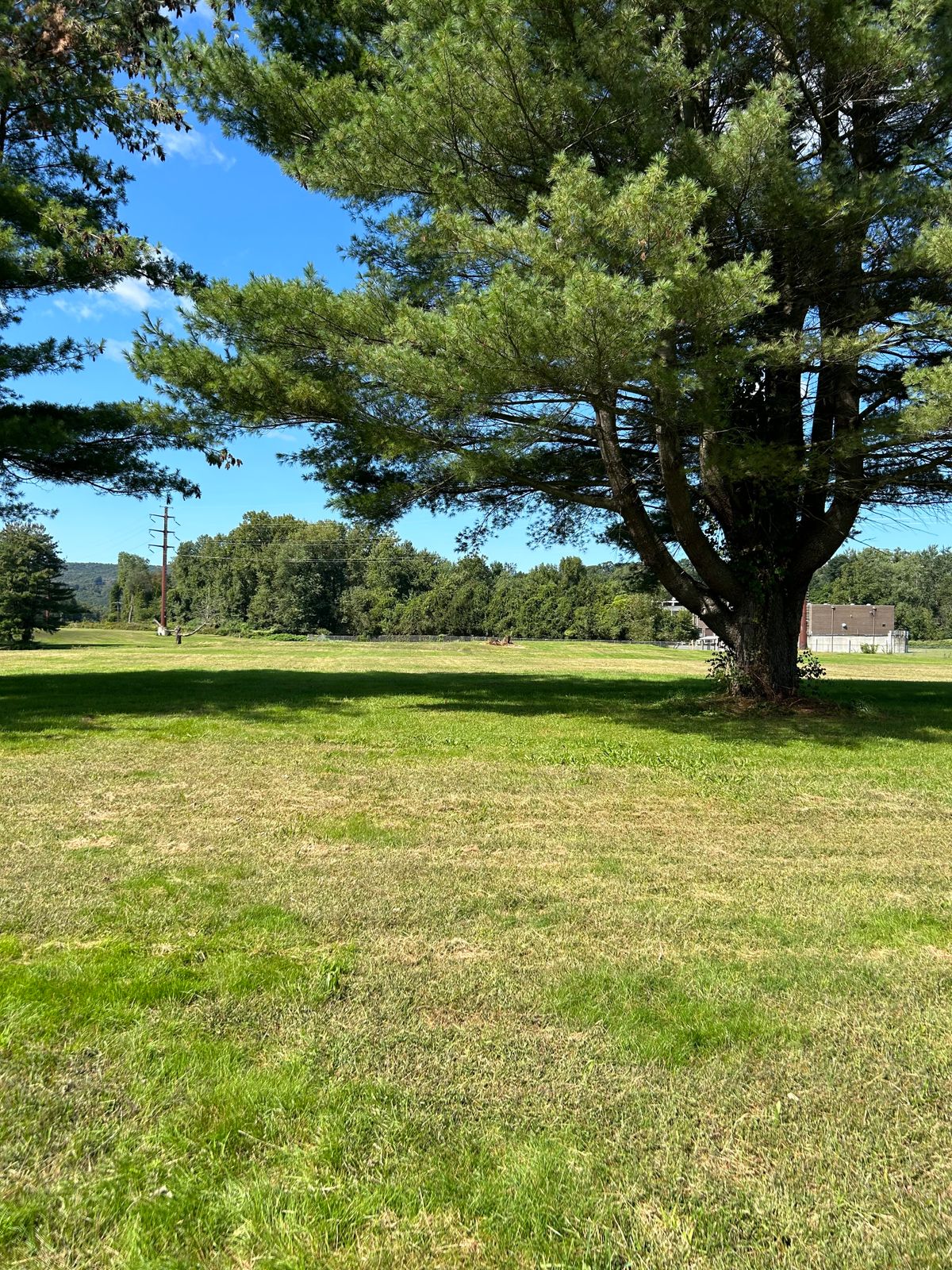 Hole 3
