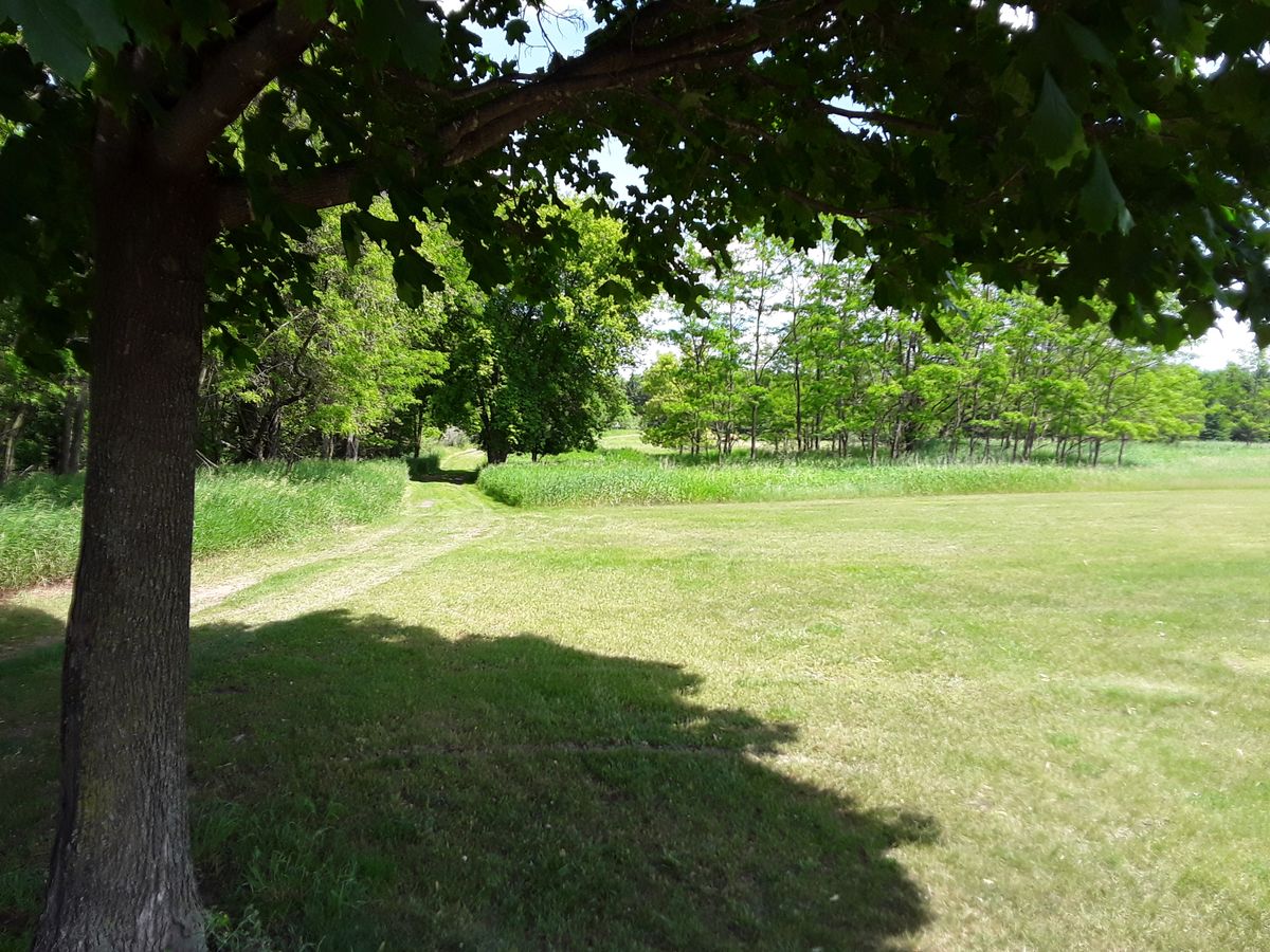 Hole 1 - Red tee
