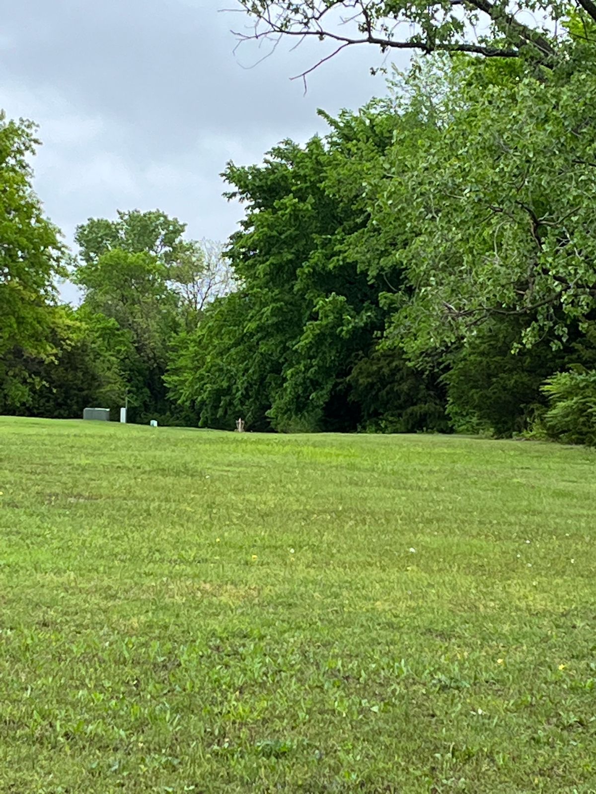 Hole 10 fairway- super long