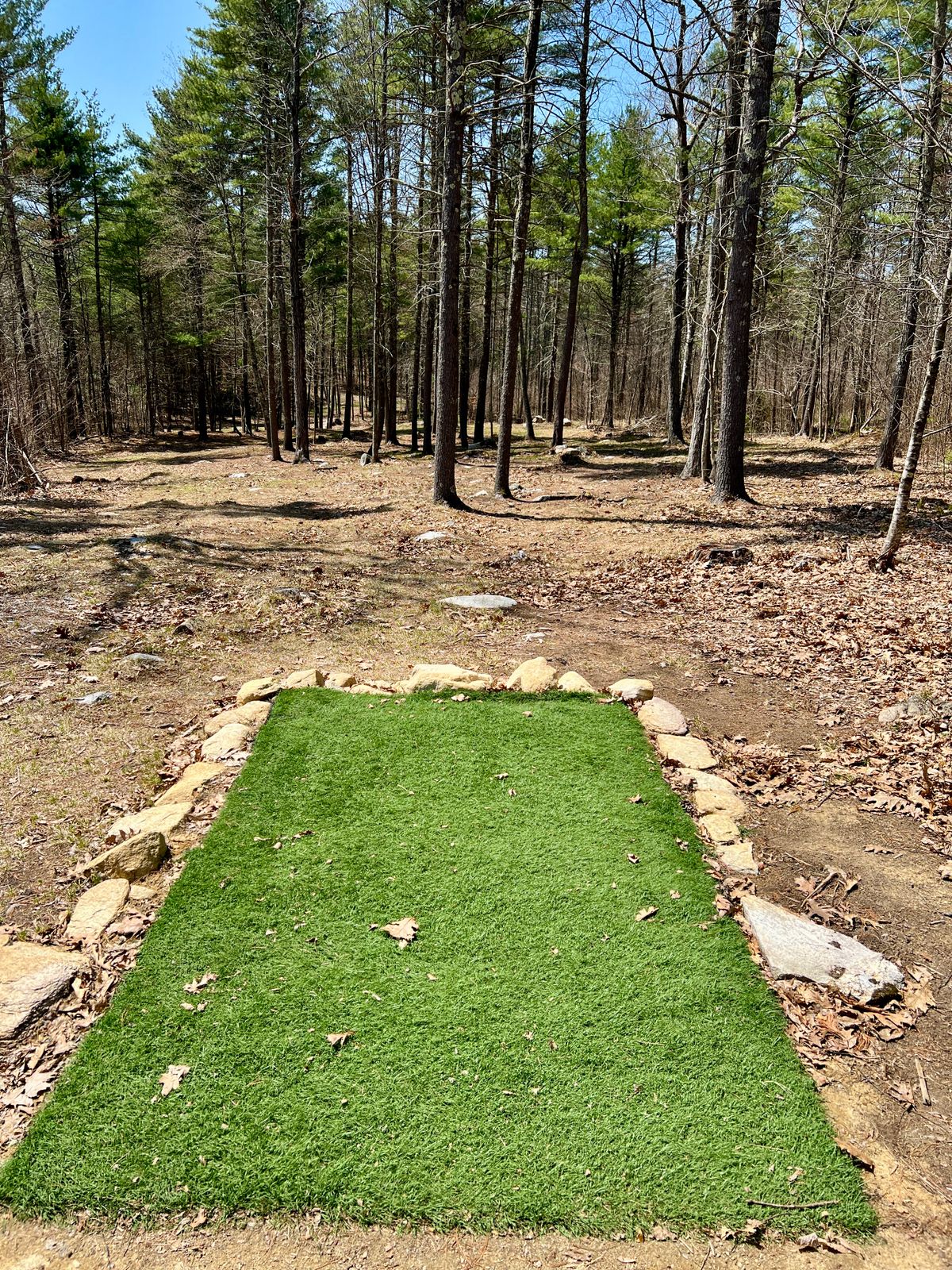 Tee Box Hole #2