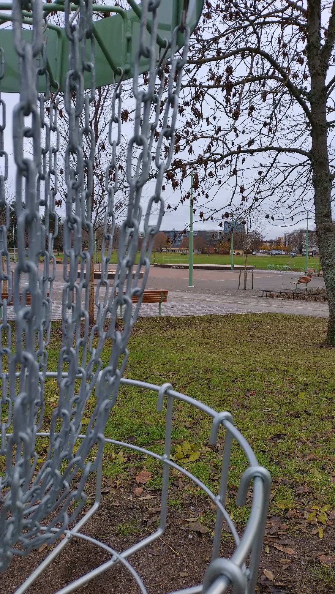 Hole 8.