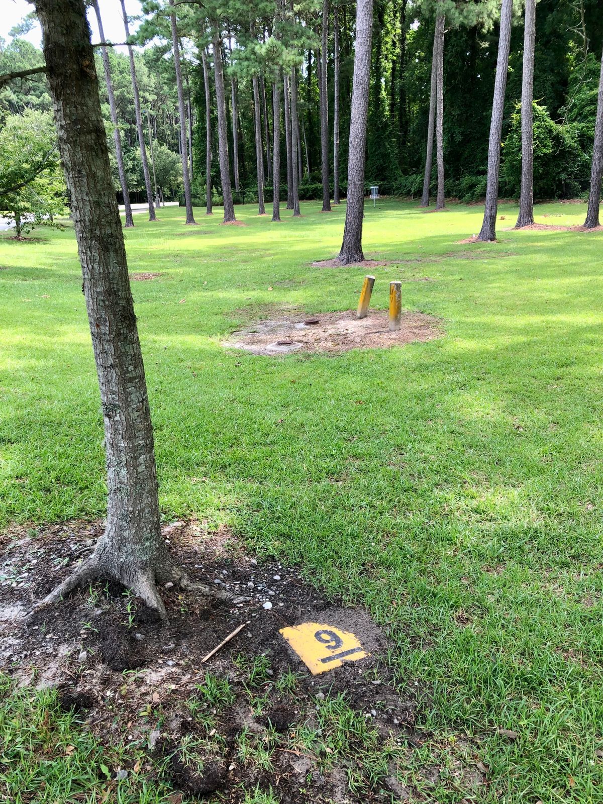 Hole 9 tee