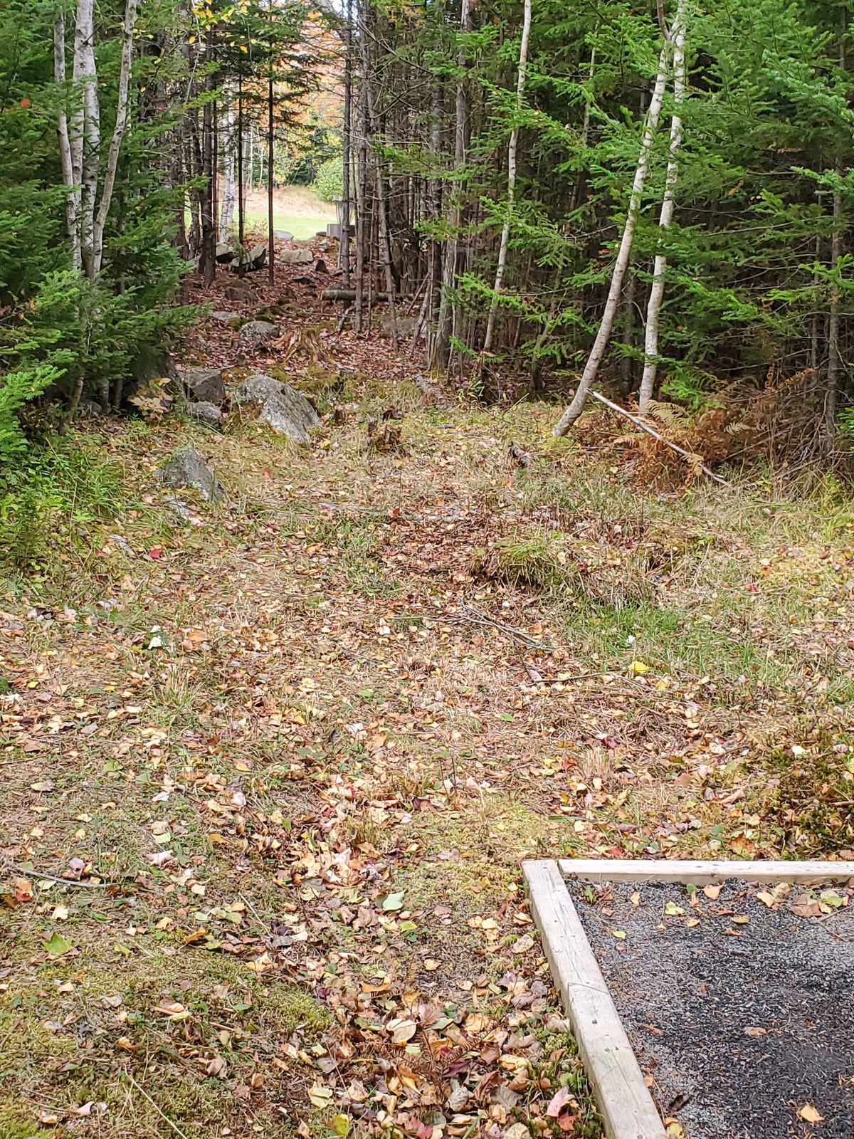 Tee box 7, I assume the path to the left of the fairway is OB