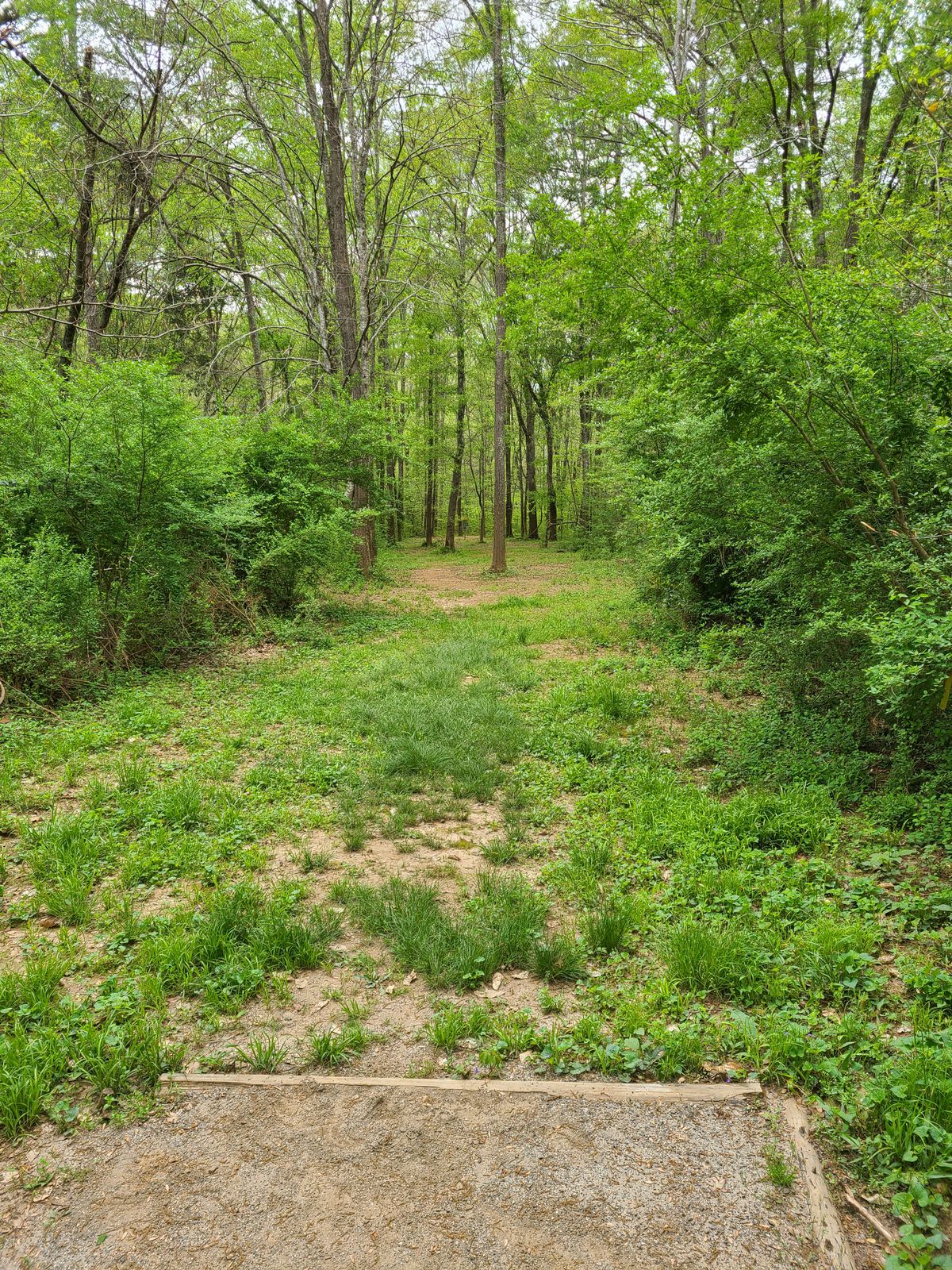 Hole 8 from tee