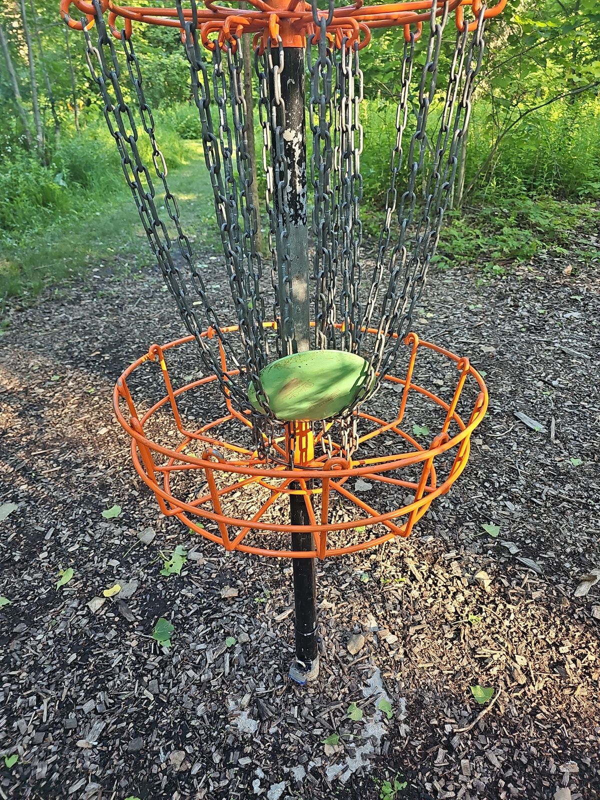 Disc. Golf.