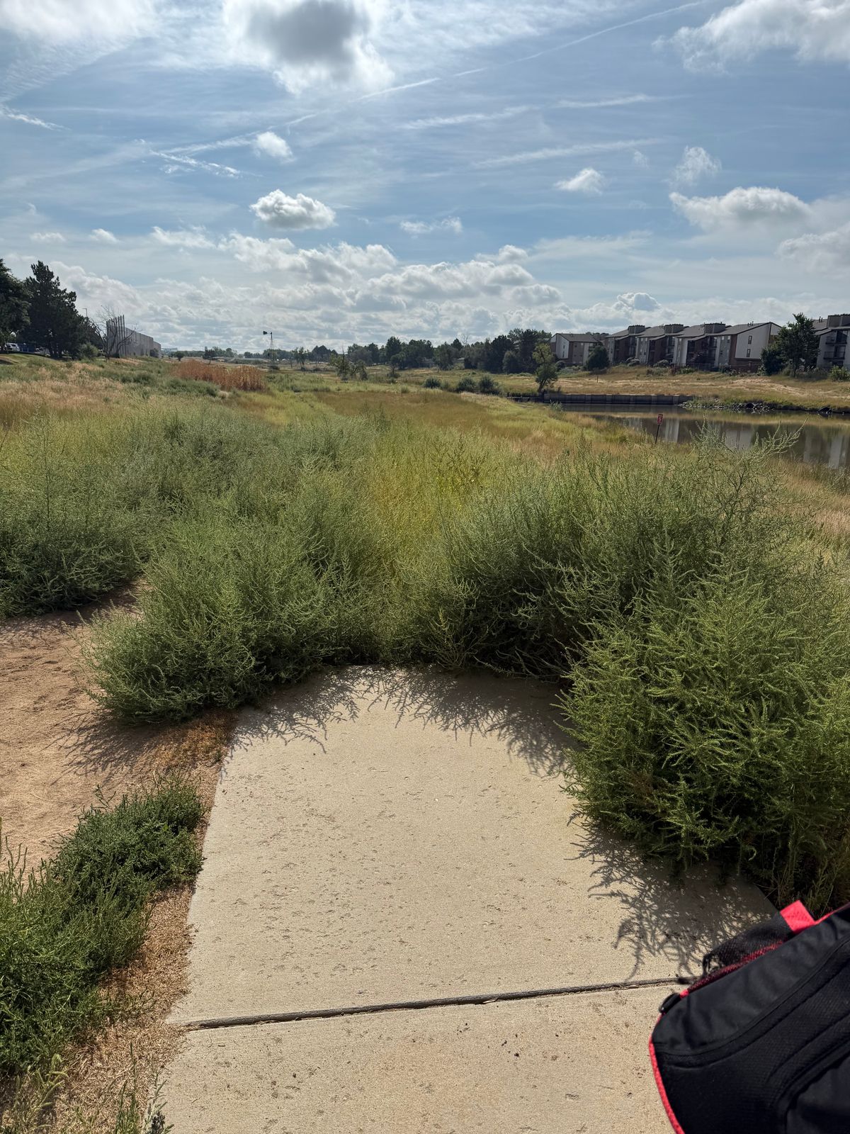 If tee pad 1 is any indication, this course is currently unplayable.