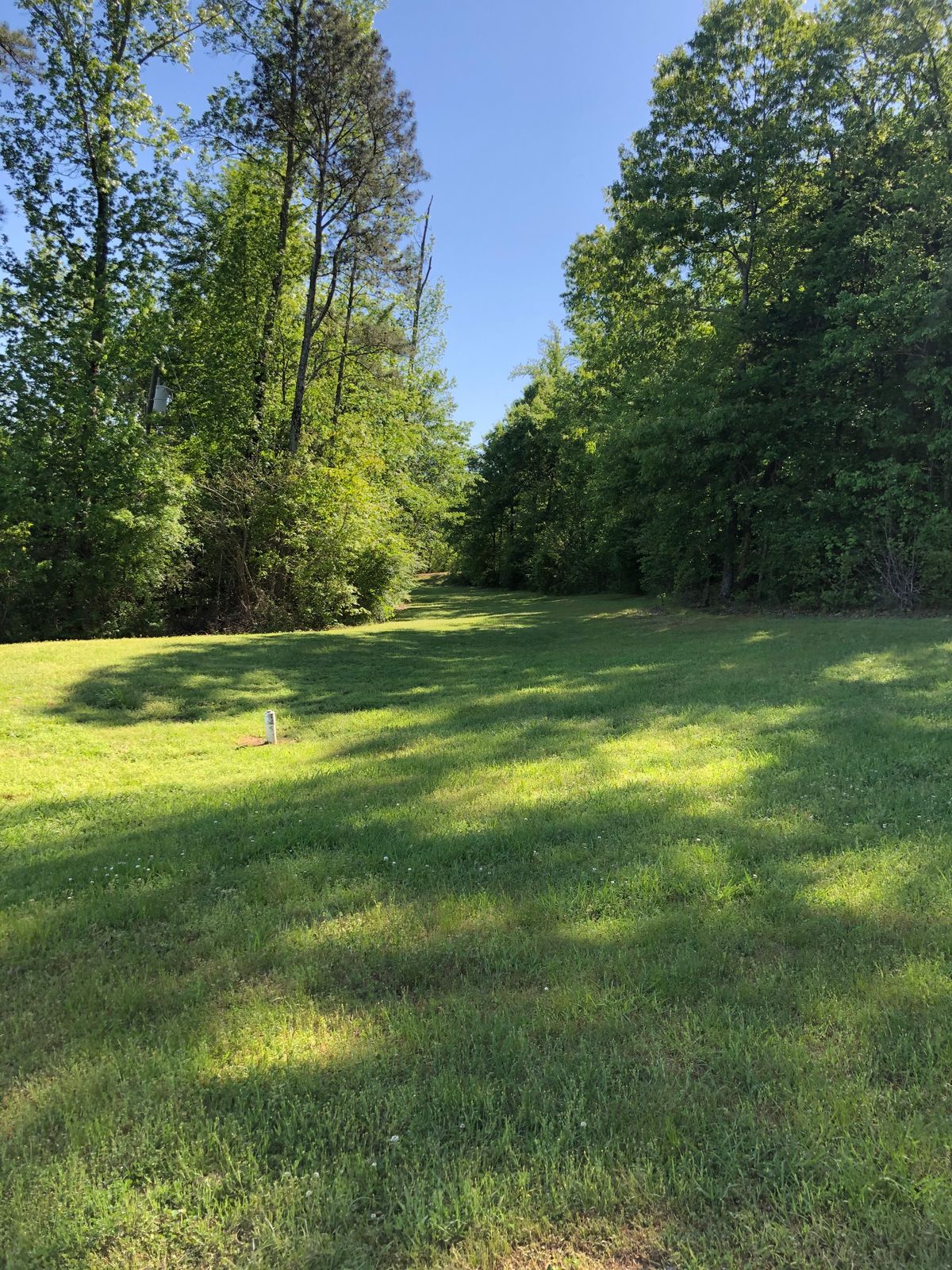 Hole 6