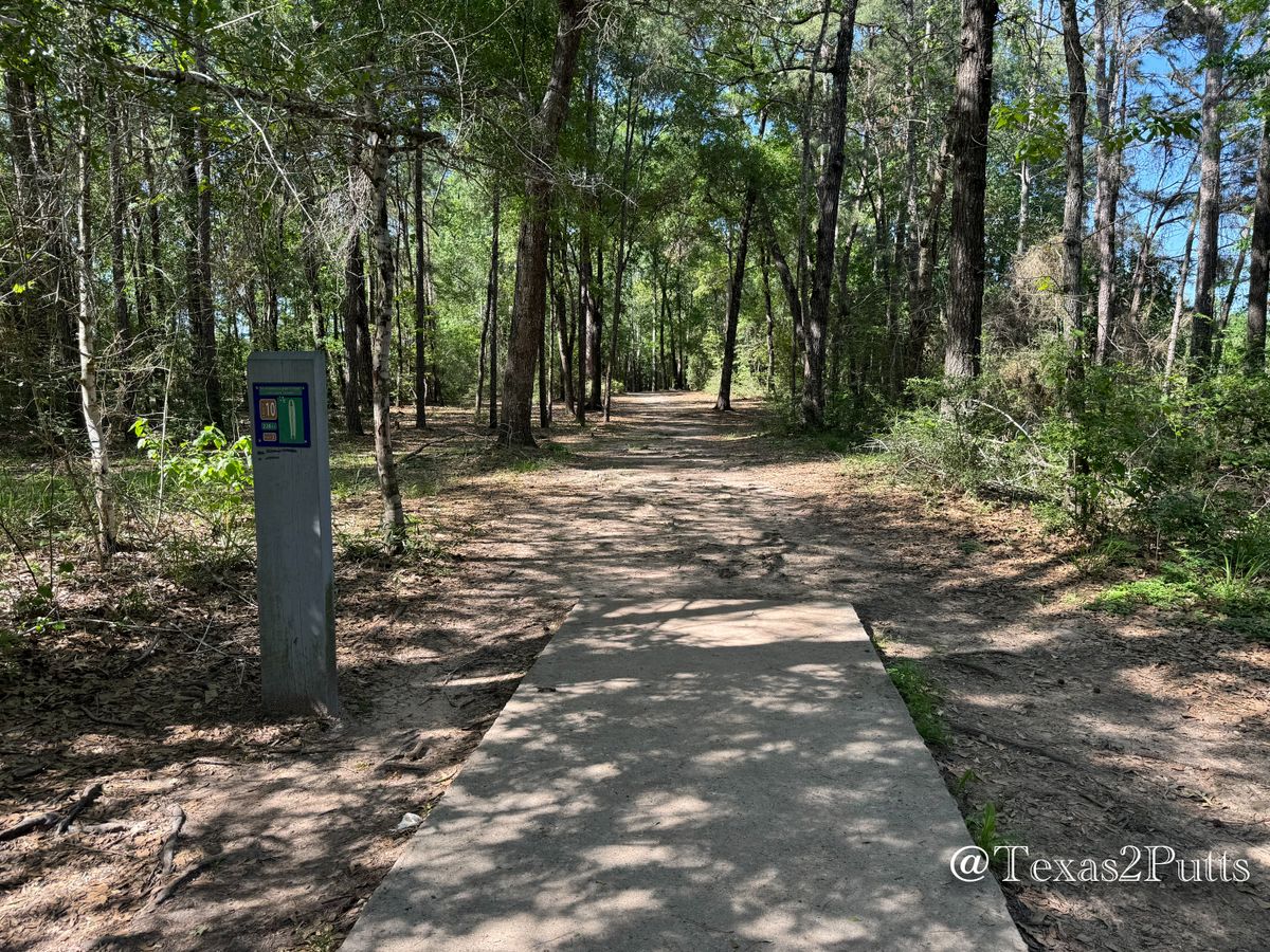 Hole 10